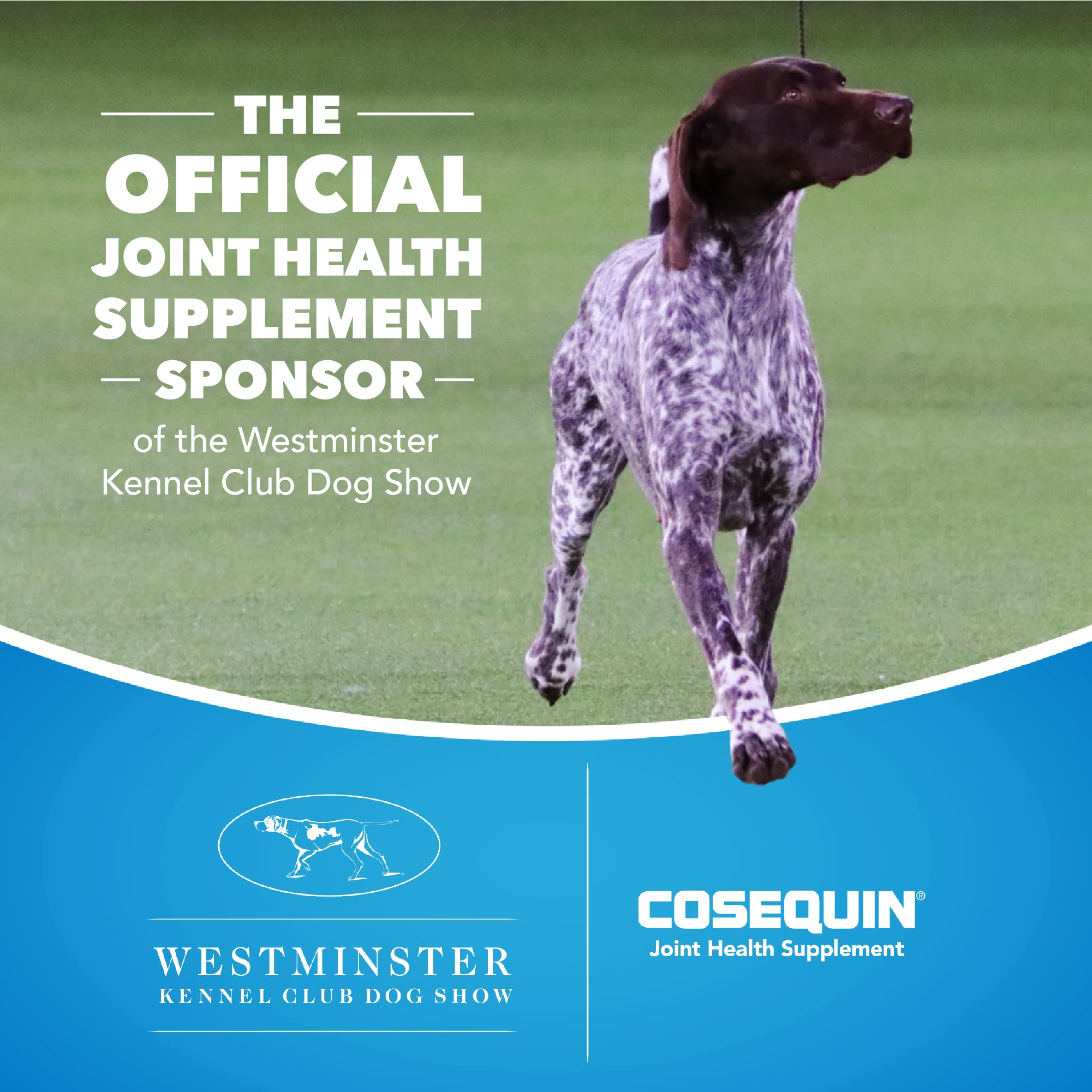 Nutramax Laboratories Cosequin Maximum Strength Joint Health Supplement for Dogs Nutramax Laboratories Au supplements