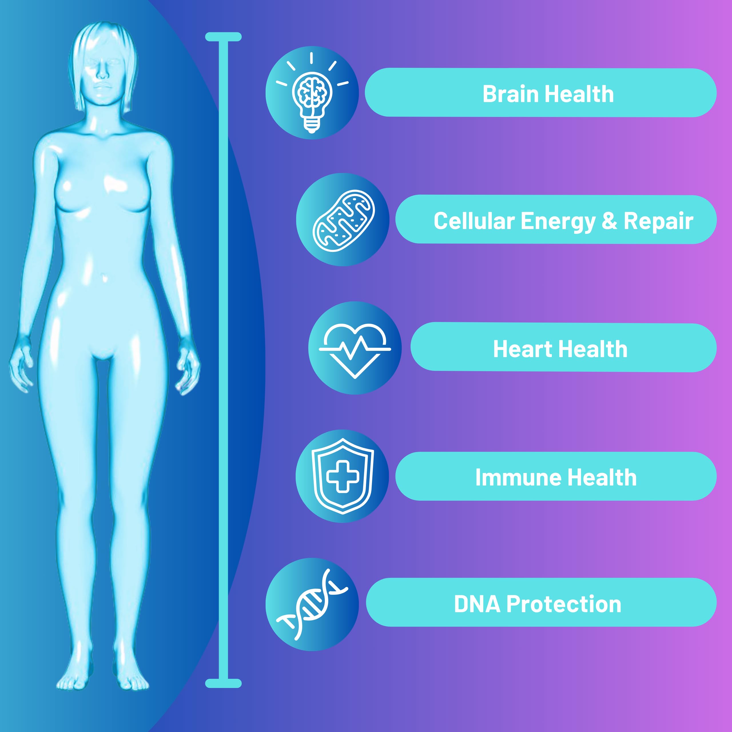 Advanced Bionetix NAD Supplement with Nicotinamide Riboside Plus Resveratrol, Quercetin, Betaine w/RiboYOUNG™ for True Anti Aging Advanced Bionetix Au supplements