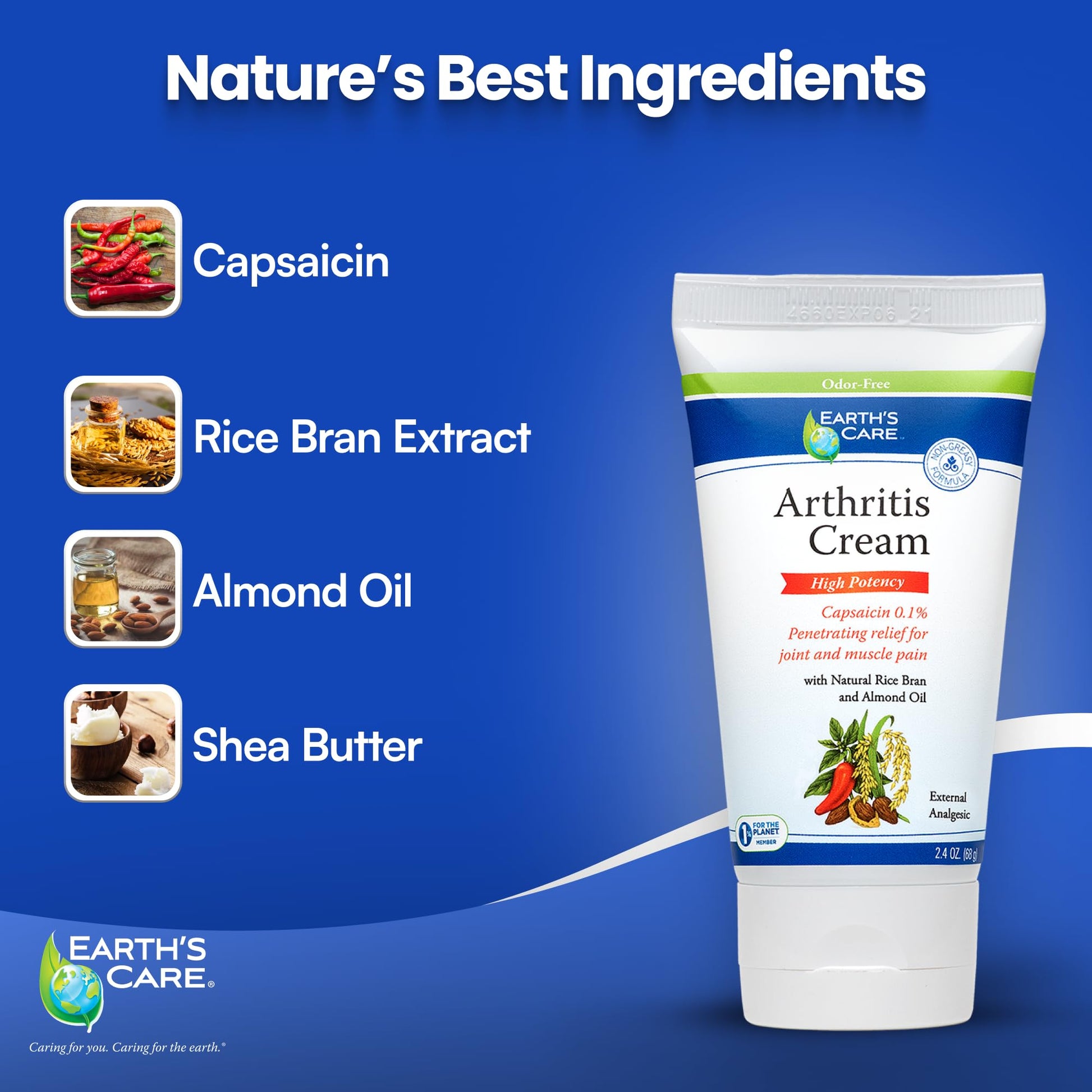 Earth's Care Arthritis Cream - Joint Cream with Natural Capsaicin - Topical Analgesic 2.4 OZ (Pack of 2) Earth's Care Au supplements