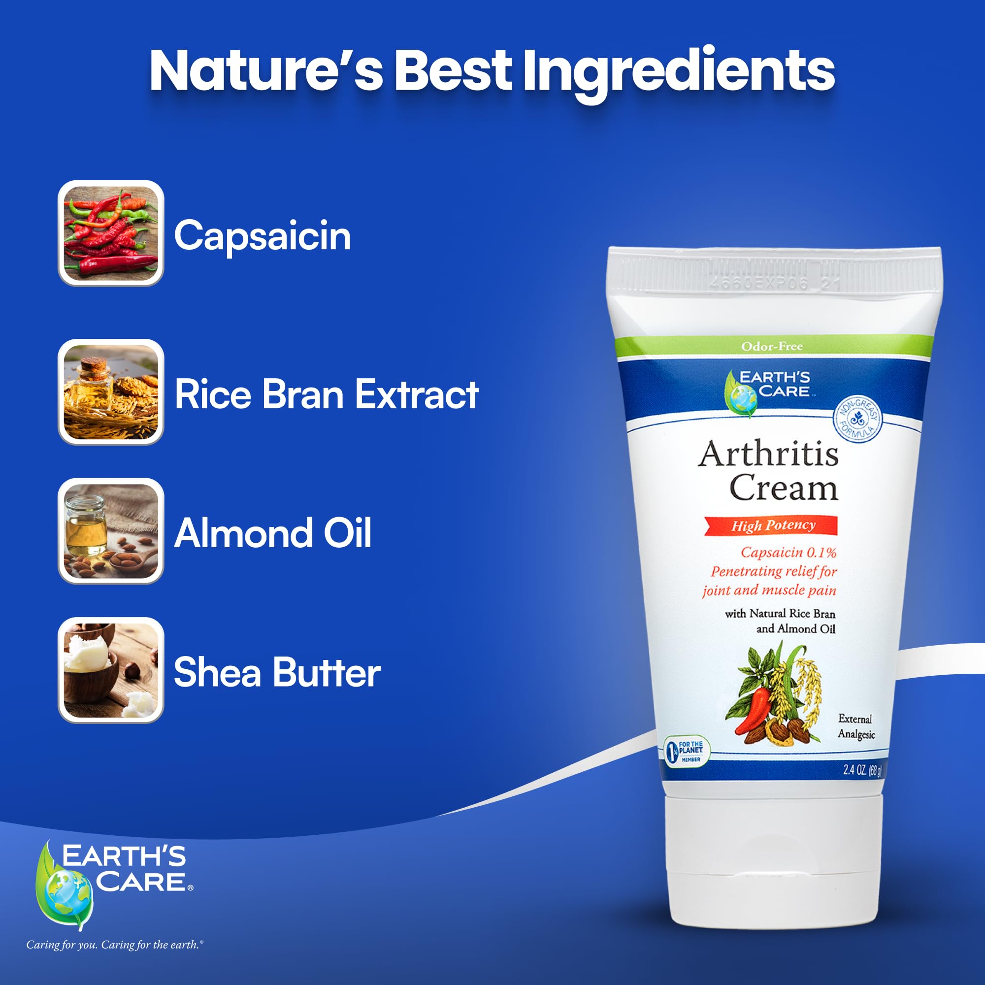 Earth's Care Arthritis Cream - Joint Cream with Natural Capsaicin - Topical Analgesic 2.4 OZ (Pack of 2) Earth's Care Au supplements