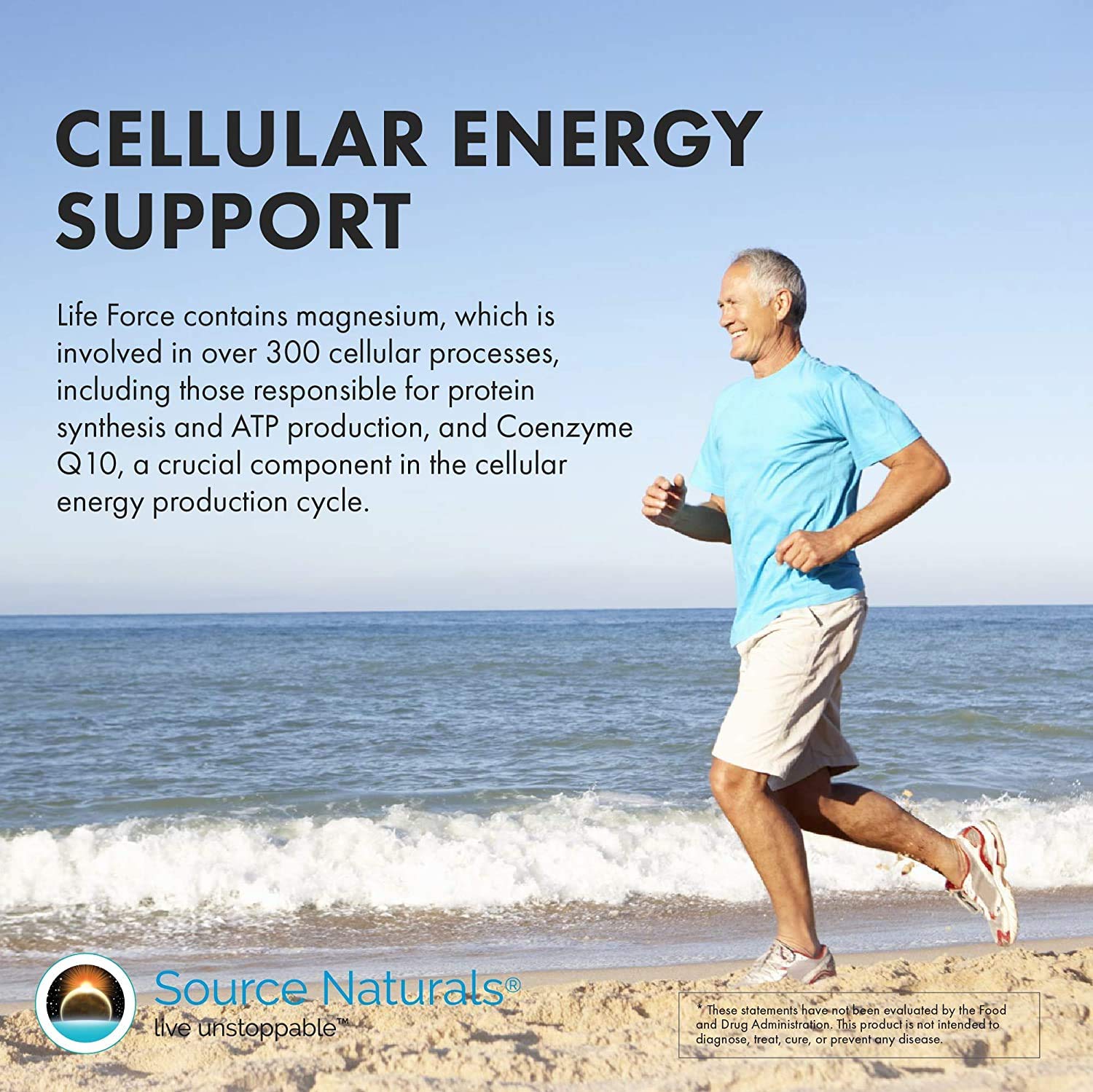Source Naturals Life Force Multiple Iron Free Daily Multivitamin High Potency Essential Vitamins, Minerals, Antioxidants & Nutrients - Energy & Immune Boost* - 60 Capsules Source Naturals Au supplements