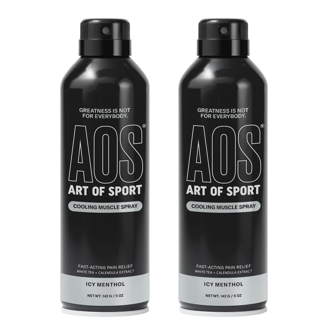 Art of Sport Muscle Relief Spray for Men – Cooling Menthol Pain Relief for Sore Muscles & Joints – Back, Neck, Knee, Shoulder, Hip – Fast-Acting Body Spray – Made for Athletes – 5 fl oz (2-Pack) Art of Sport uk supplements