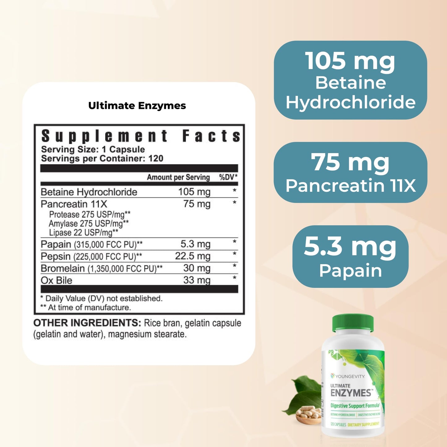 Youngevity Ultimate Enzymes® - Multi Enzymes for Digestion, Gas & Bloating Relief - Betaine HCl, Ox Bile, Pancreatine 10X, Papain 6M, Pepsin 1:3000 (120 Capsules) YoungevityUS supplements