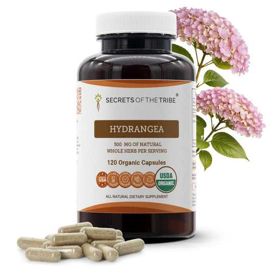 Secrets of the Tribe Hydrangea USDA Organic Capsules | Certified Organic Vegetarian Capsules, Herbal Dietary Supplement | Hydrangea arborescens Dried Root (120 Count) Secrets of the TribeAu supplements