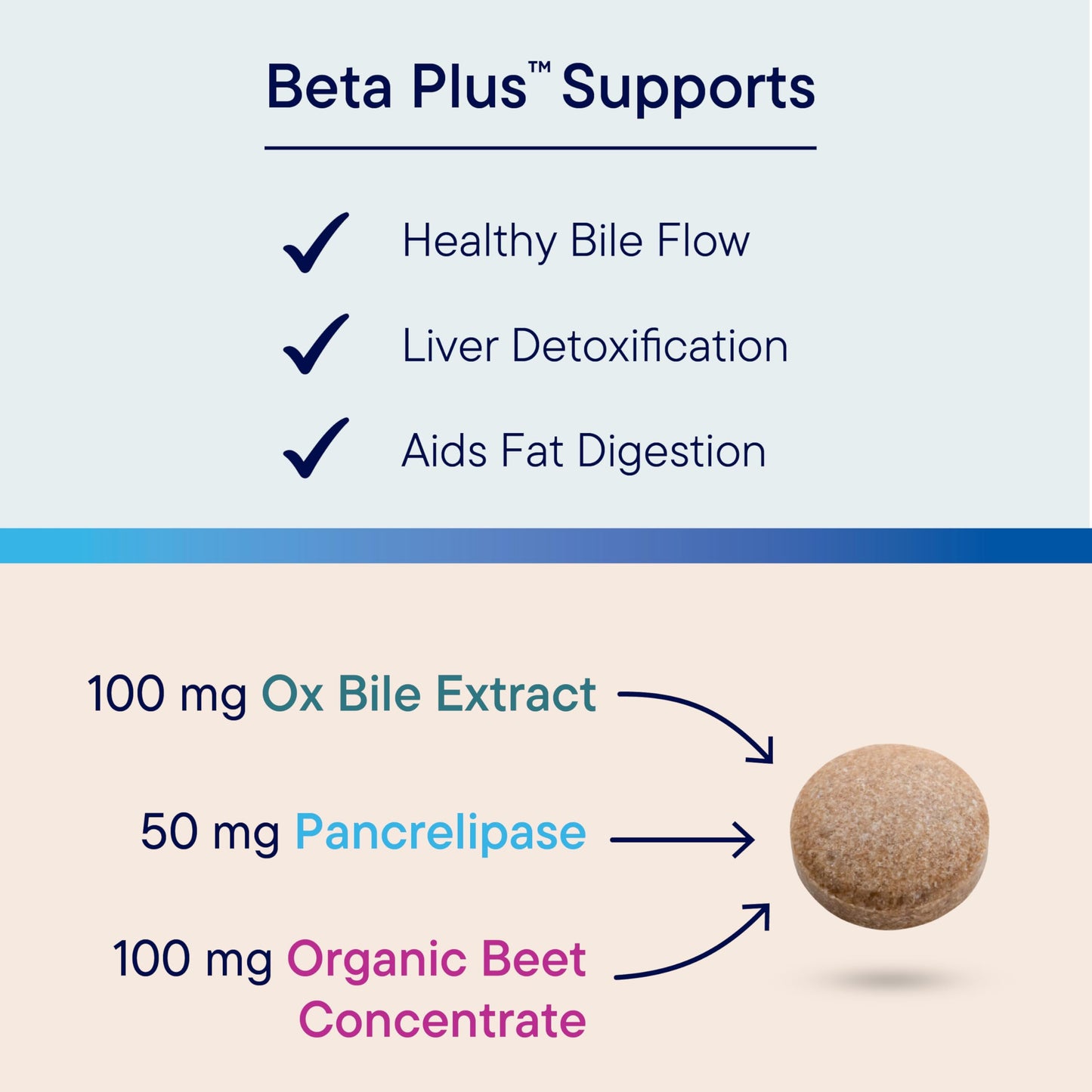 Biotics Research Beta-Plus™ Nutritional Ox Bile Salts Digestive Enzymes Supplement for Bile Production for No Gallbladder-Supports Overall Liver Function, BIOTICS RESEARCHUS supplements