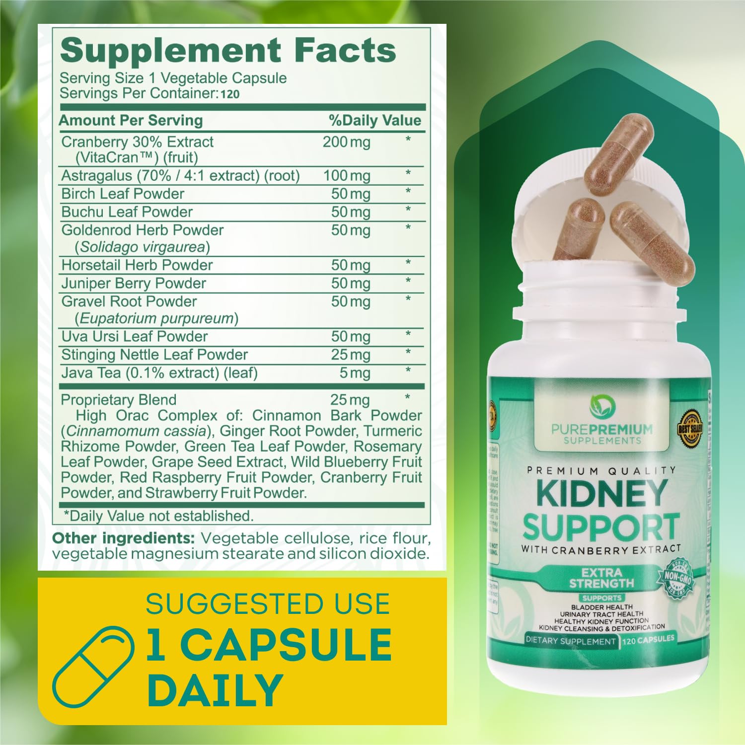 PurePremium Kidney Support Supplement for Men and Women - with Cranberry Extract PurePremium Supplements Au supplements