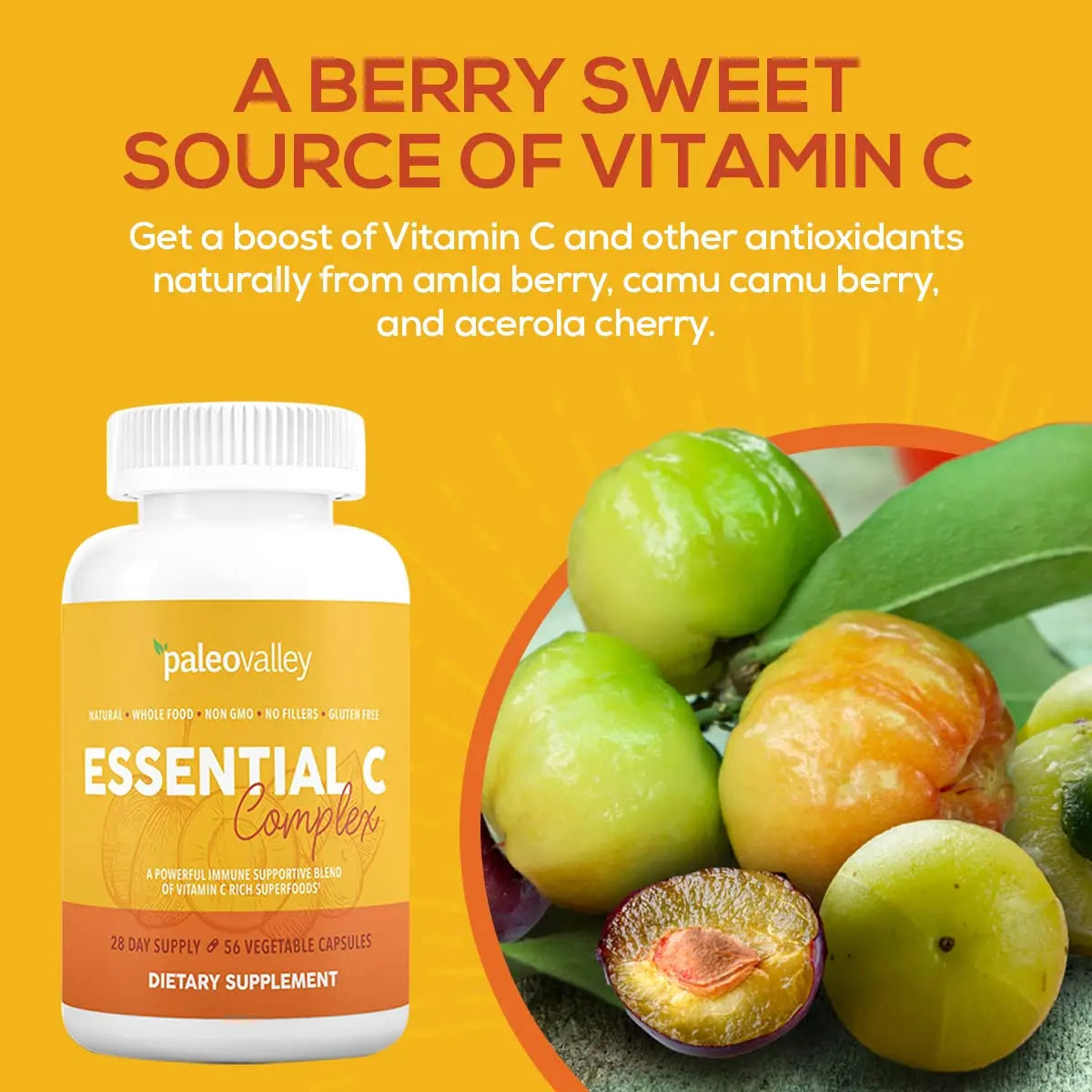 Paleovalley Essential C Complex - Vitamin C Supplement for Immune Support - 1 Pack, 450mg - Organic Superfoods Unripe Acerola Cherry, Camu Camu, Amla Berry - No Synthetic Ascorbic Acid - USA Made Paleovalley Au supplements