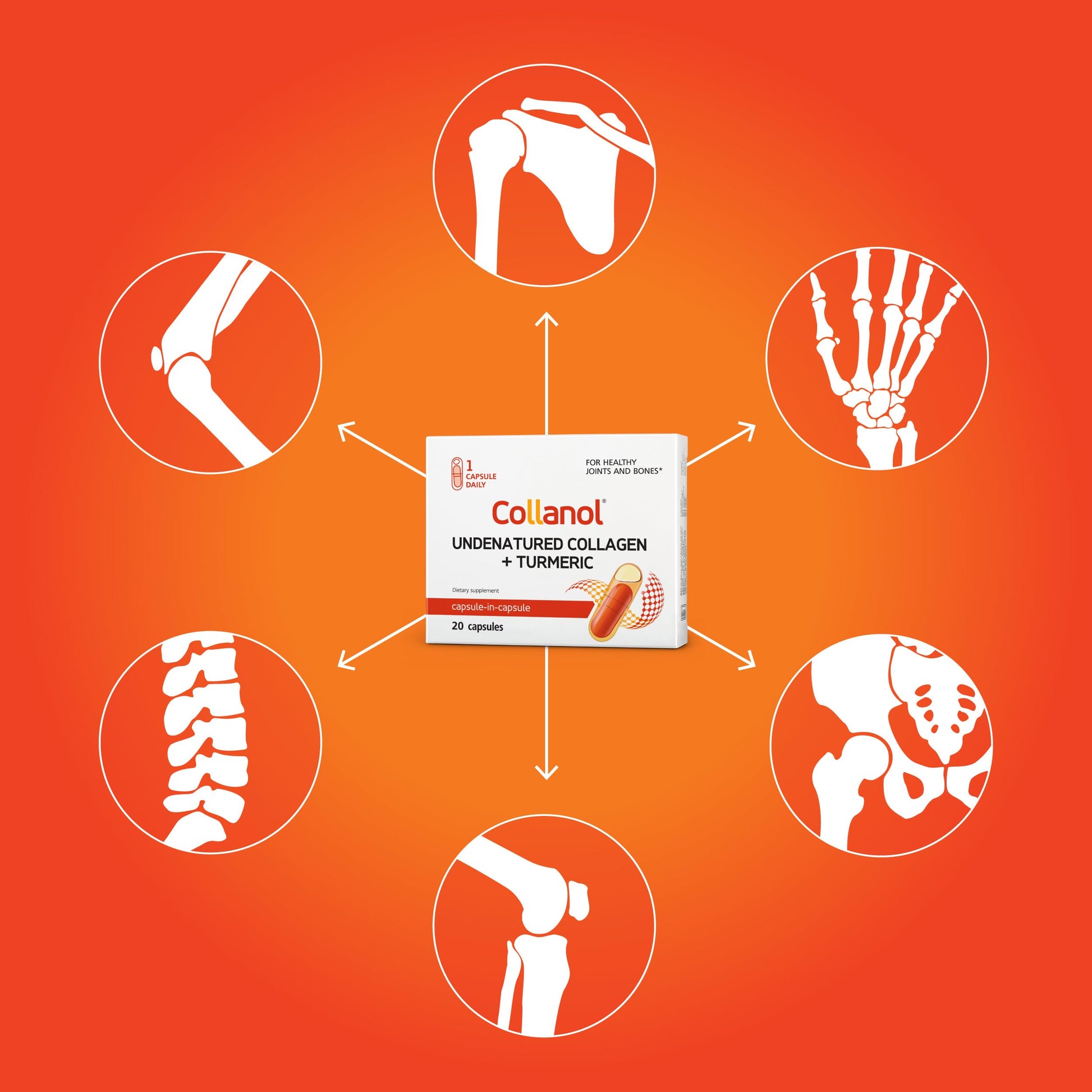Innovation in The Care of Healthy Joints – Liquid Formula in a Double Capsule. 3D Collagen + Micelle Extract of Turmeric Roots 1 Capsule/Day. Laboratory Tested Collanol Au supplements