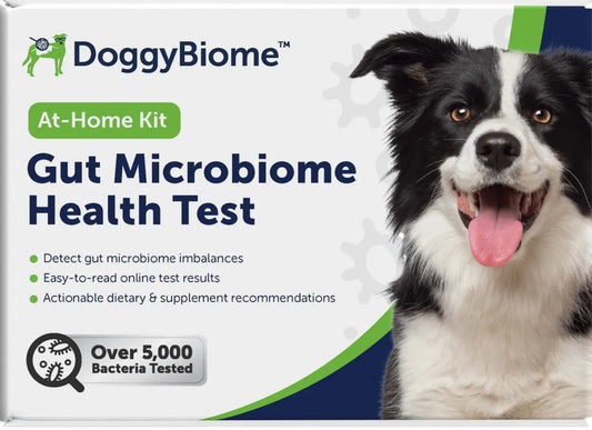 AnimalBiome Dog Gut Health Test – DoggyBiome At Home Stool Testing Kit, Canine Fecal Analysis for Digestive Issues, Diarrhea & Allergy Insights w/Personalized Report & Custom Plan (Dogs Outside US) AnimalBiomeAU supplements
