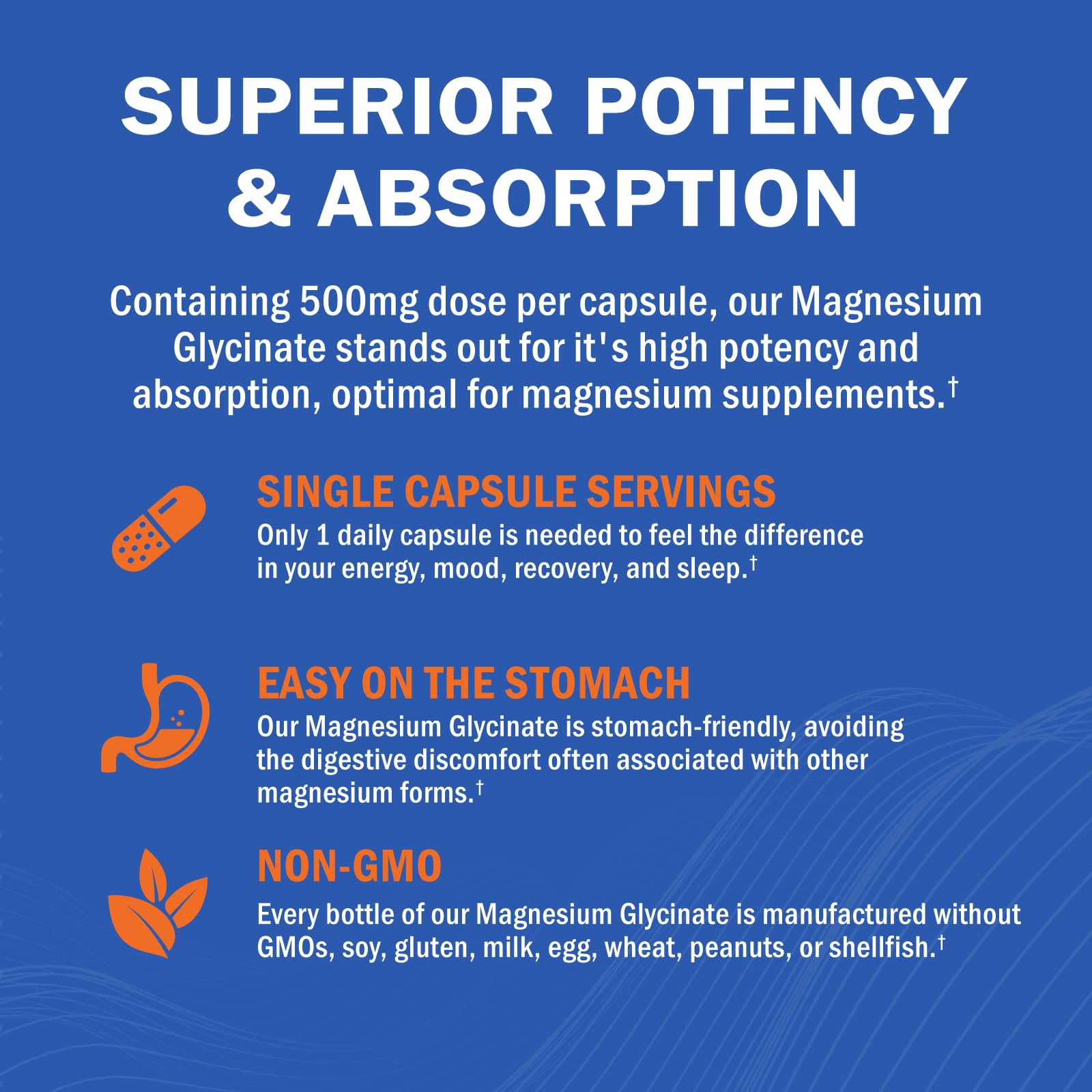 Magnesium Glycinate - High Absorption Magnesium Supplement 500mg Per Serving for Stress Relief, Sleep, Heart and Bone Health, Nerve Support - Non-GMO, Gluten-Free, Gentle on Stomach, 240 Capsules GOODBIO Au supplements