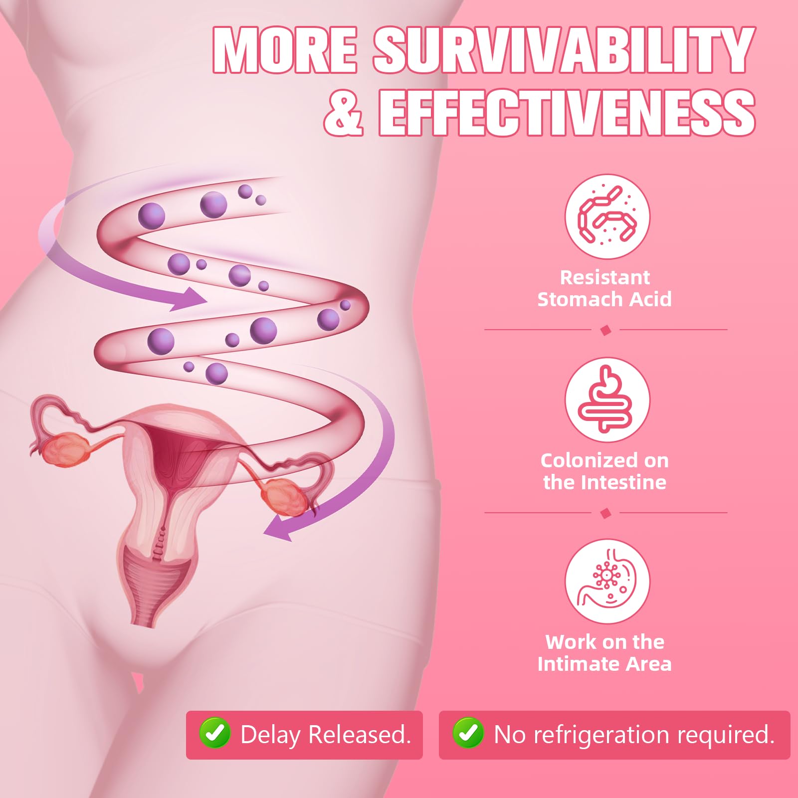 (2 Packs) 40-in-1 Menopause Supplements for Women, Multibenefit & Complete Black Cohosh for Hot Flashes, Night Sweats & Hormone Balance, w/ Probiotics, DIM, Vitex, Dong Quai, Red Clover and More Totaria Au supplements