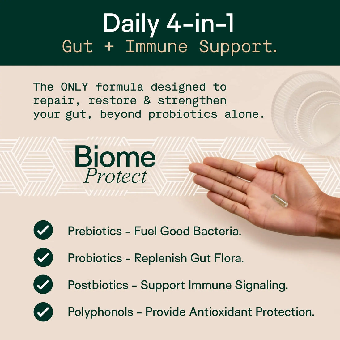 Adapt Naturals 4-in-1 Biome Protect Prebiotics, Probiotics Supplement Postbiotics & Polyphenols for Microbiome, Gut Health & Defense for Women & Men, 30 Day Supply ADAPT NATURALS BY CHRIS KRESSER uk supplements