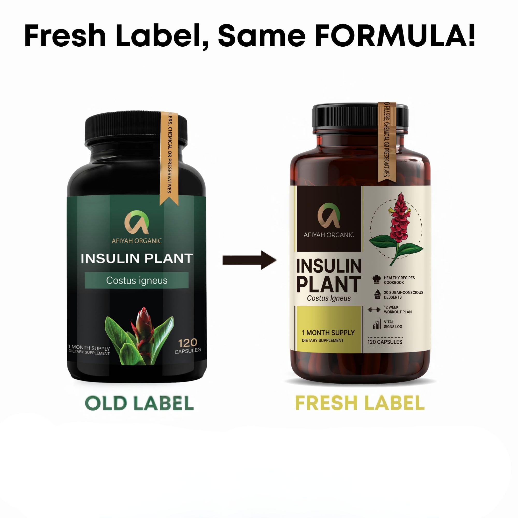 Afiyah Organic - Premium Quality Costus Igneus (Insulin Plant) Capsules - Easy to Swallow 120 Veggie Capsules (1 Month Supply) - Made in the USA - Including Complete Health Support Program Afiyah Organic Au supplements