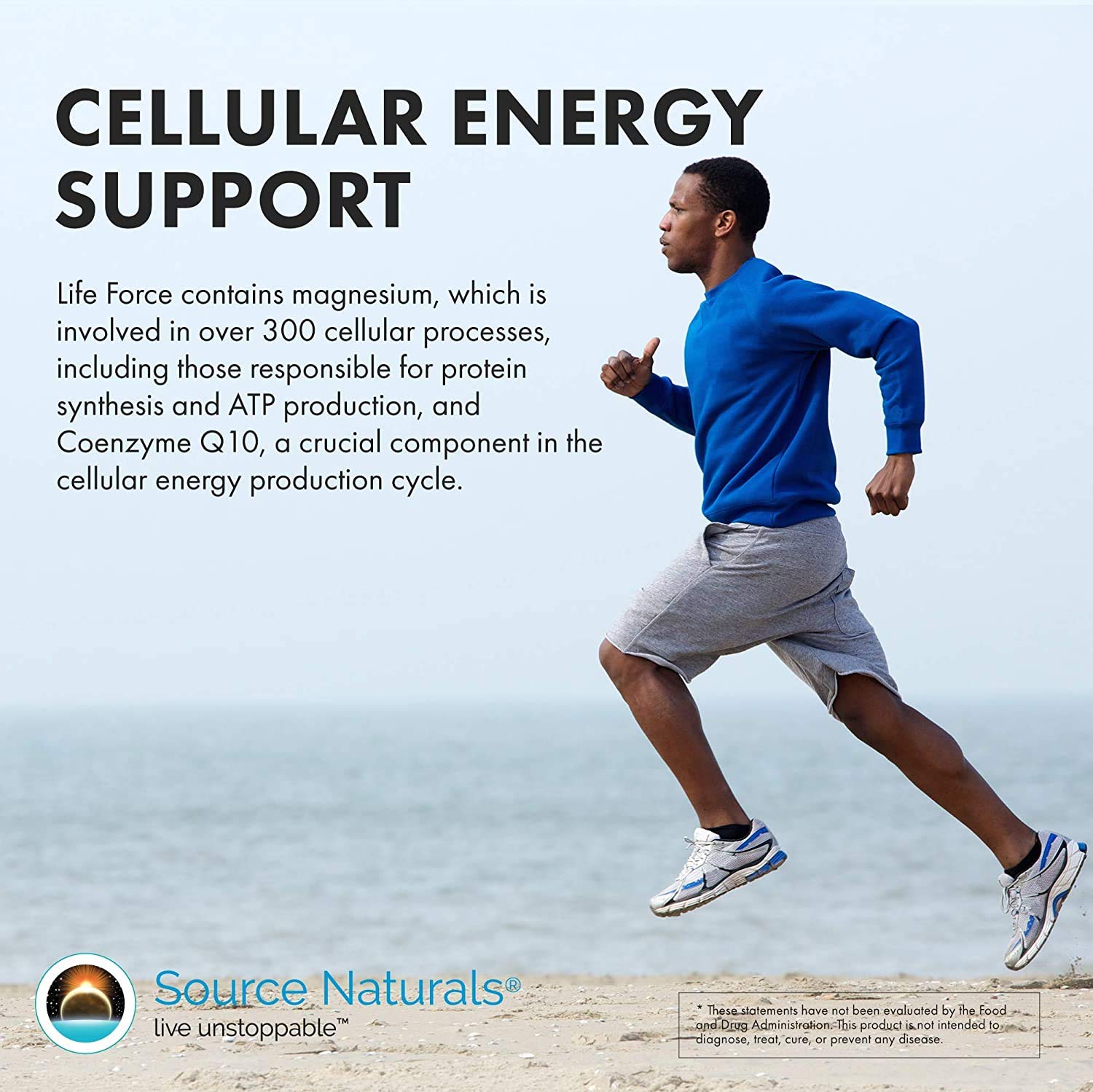 Source Naturals Men's Life Force Multiple Daily Multivitamin & Immune Health Supplement - 13 Essential Vitamins, Nutrients & Minerals* - 45 Tablets Source Naturals Au supplements