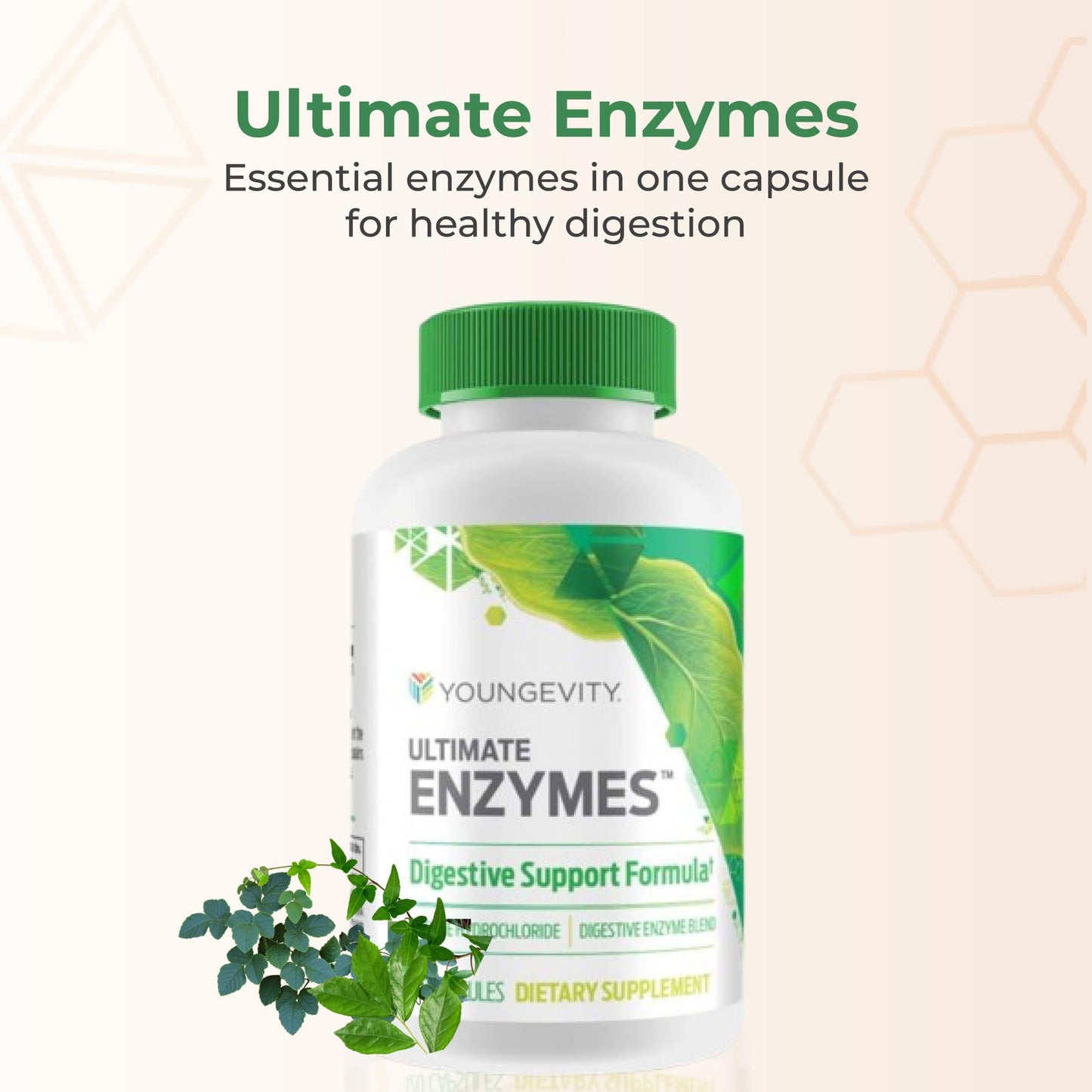 Youngevity Ultimate Enzymes® - Multi Enzymes for Digestion, Gas & Bloating Relief - Betaine HCl, Ox Bile, Pancreatine 10X, Papain 6M, Pepsin 1:3000 (120 Capsules) YoungevityUS supplements