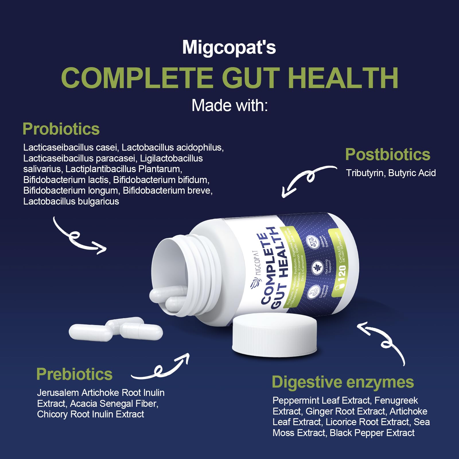 Migcopat Probiotic Prebiotic, Postbiotic & Digestive Enzymes for Digestive Health, 80 Billion CFU Probiotics Complete Gut Support with Berberine, Cinnamon, L-Glutamine, for Men & Women, 120 Capsules Migcopat Au supplements