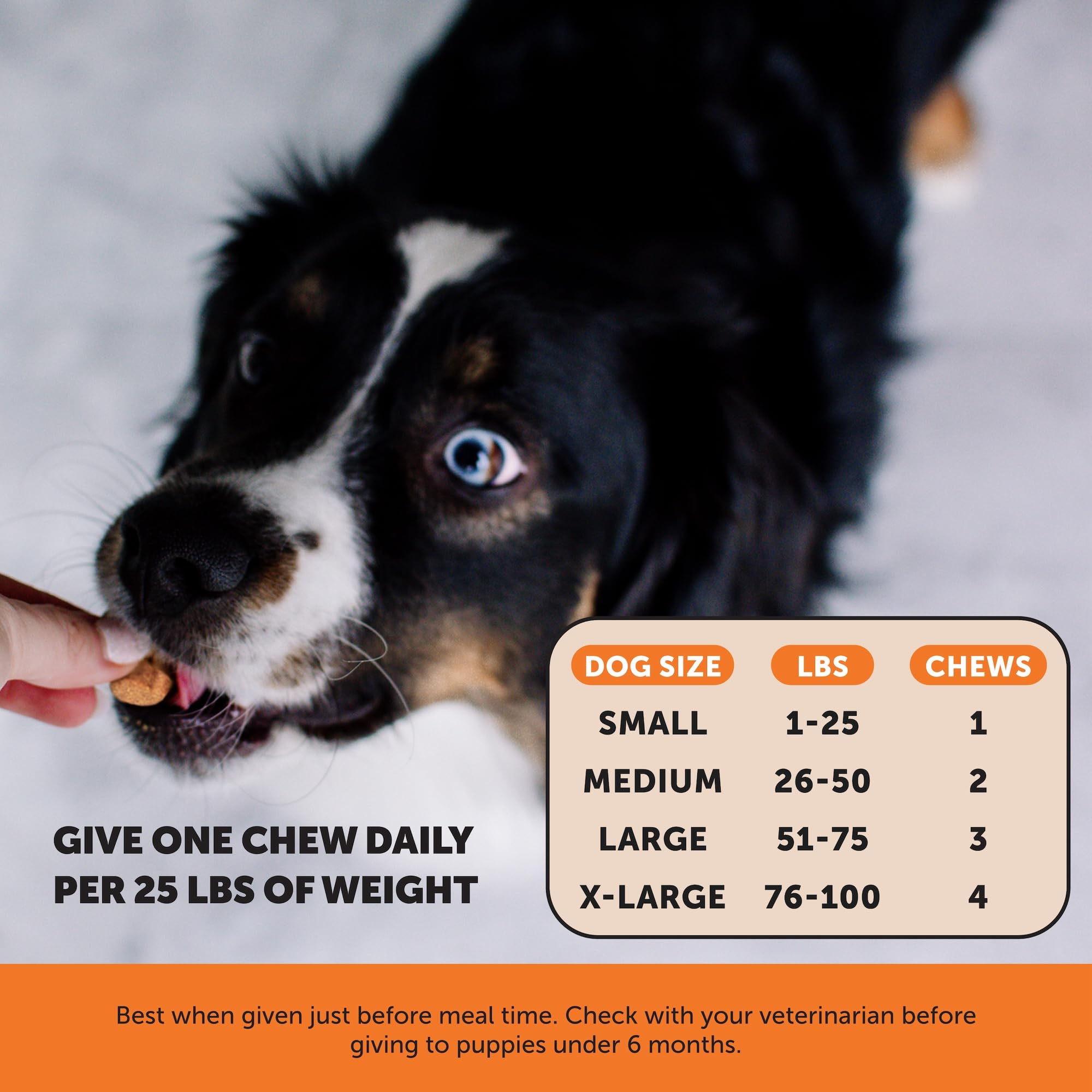 Hemp Hip & Joint Supplement for Dogs - Hemp Oil & Powder - Glucosamine Chondroitin for Dogs, Turmeric, MSM, Green-Lipped Mussel, Supports Mobility, May Reduce Discomfort (Bacon) Pet Honesty Au supplements
