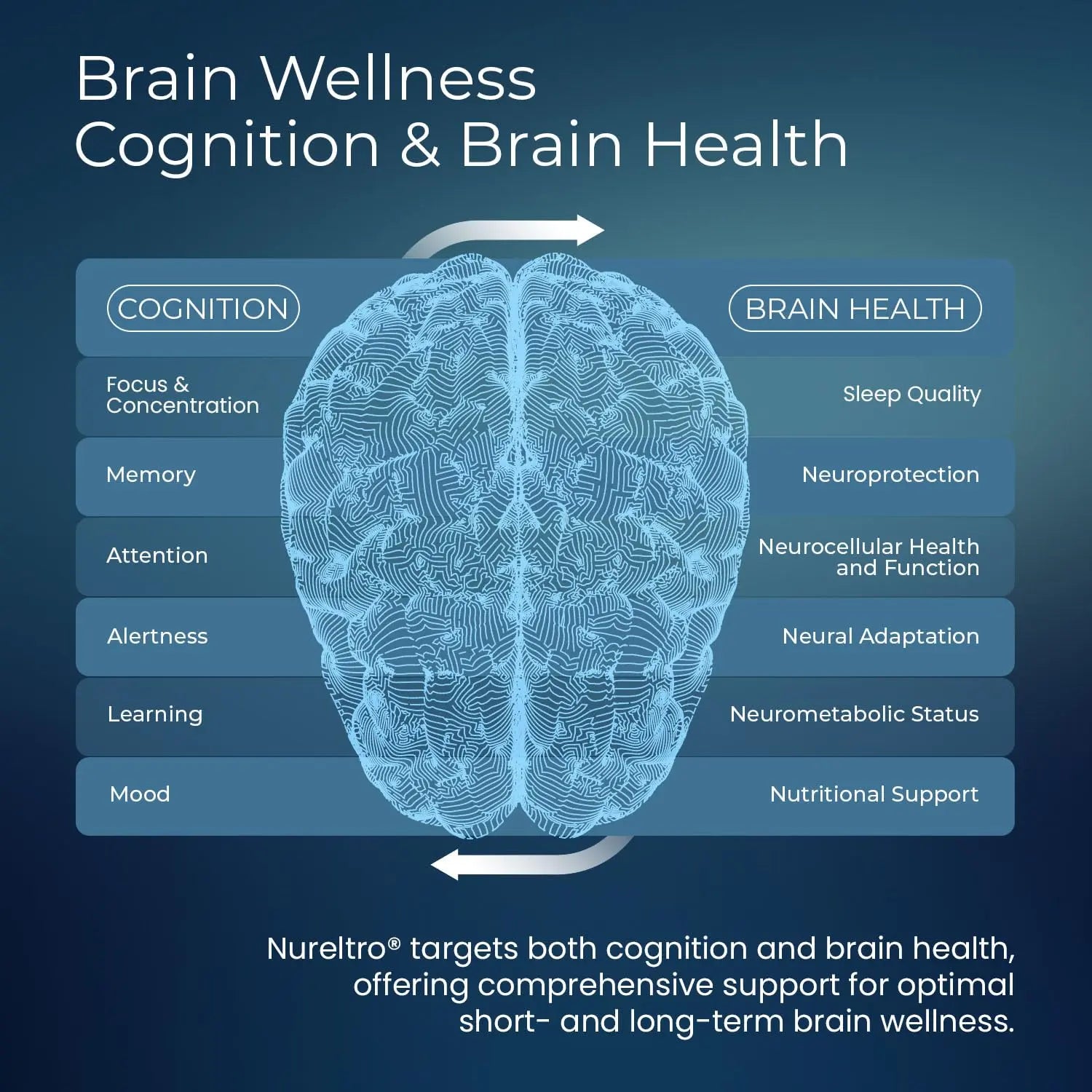 Nureltro All-in-One Nootropic Brain Supplement for Adults and Seniors w/Shoden® Ashwagandha | Supports Memory, Focus, Mood, Mental Clarity, and Brain Health - Caffeine-Free (120 Capsules) Nureltro Au supplements