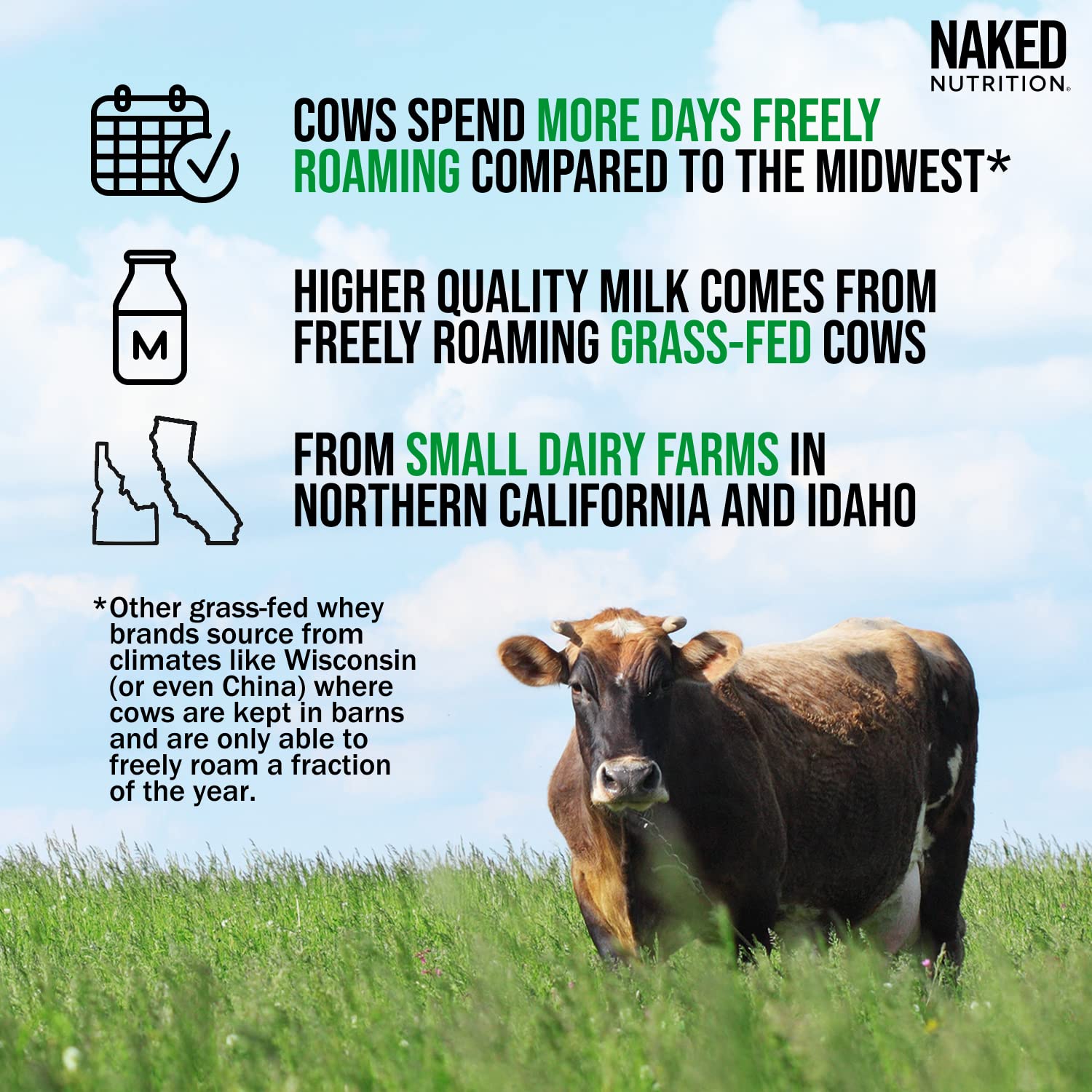 NAKED Whey Double Chocolate Grass Fed Whey Protein Powder, No GMO, No Soy NAKED Au supplements