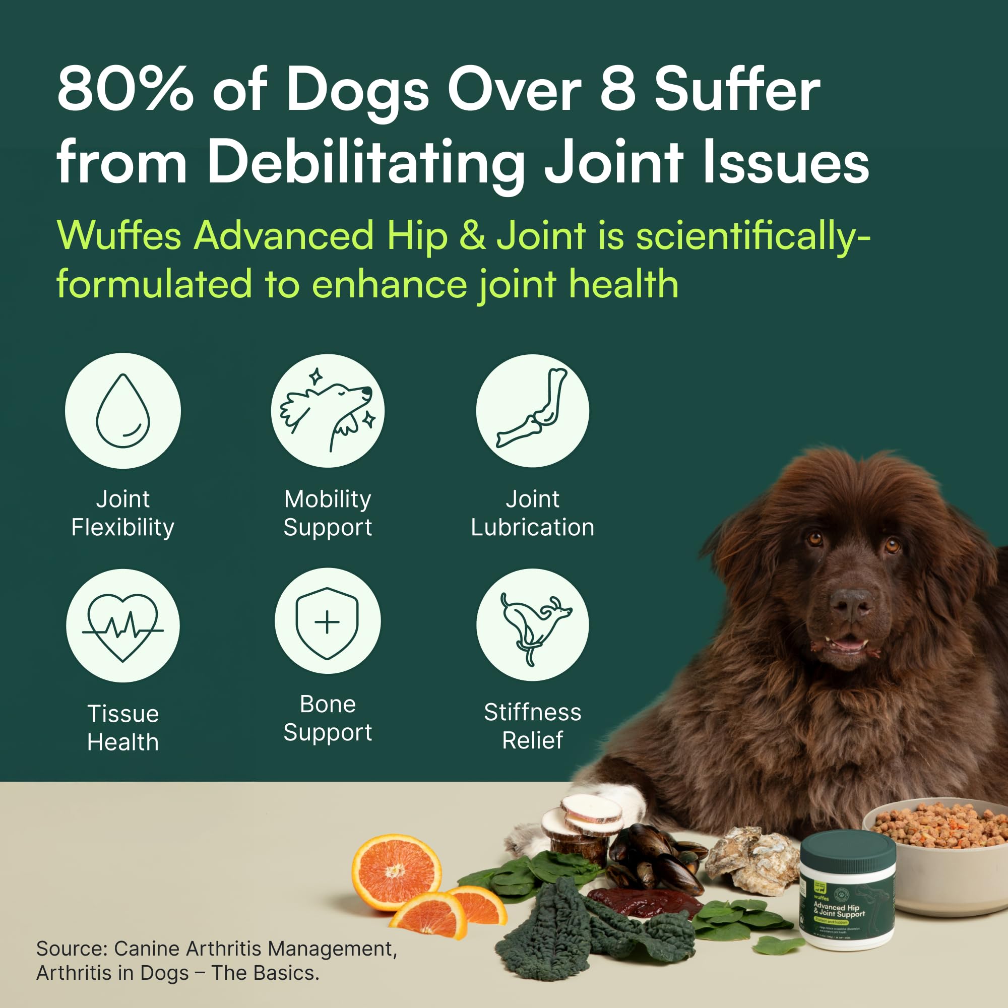 Wuffes Chewable Dog Hip & Joint Supplement - Glucosamine & Chondroitin Chews - Dog Joint Supplements & Vitamins - Extended Joint Care (Large Breed (Over 65 lbs), 60 Chews (Pack of 2)) Wuffes Au supplements