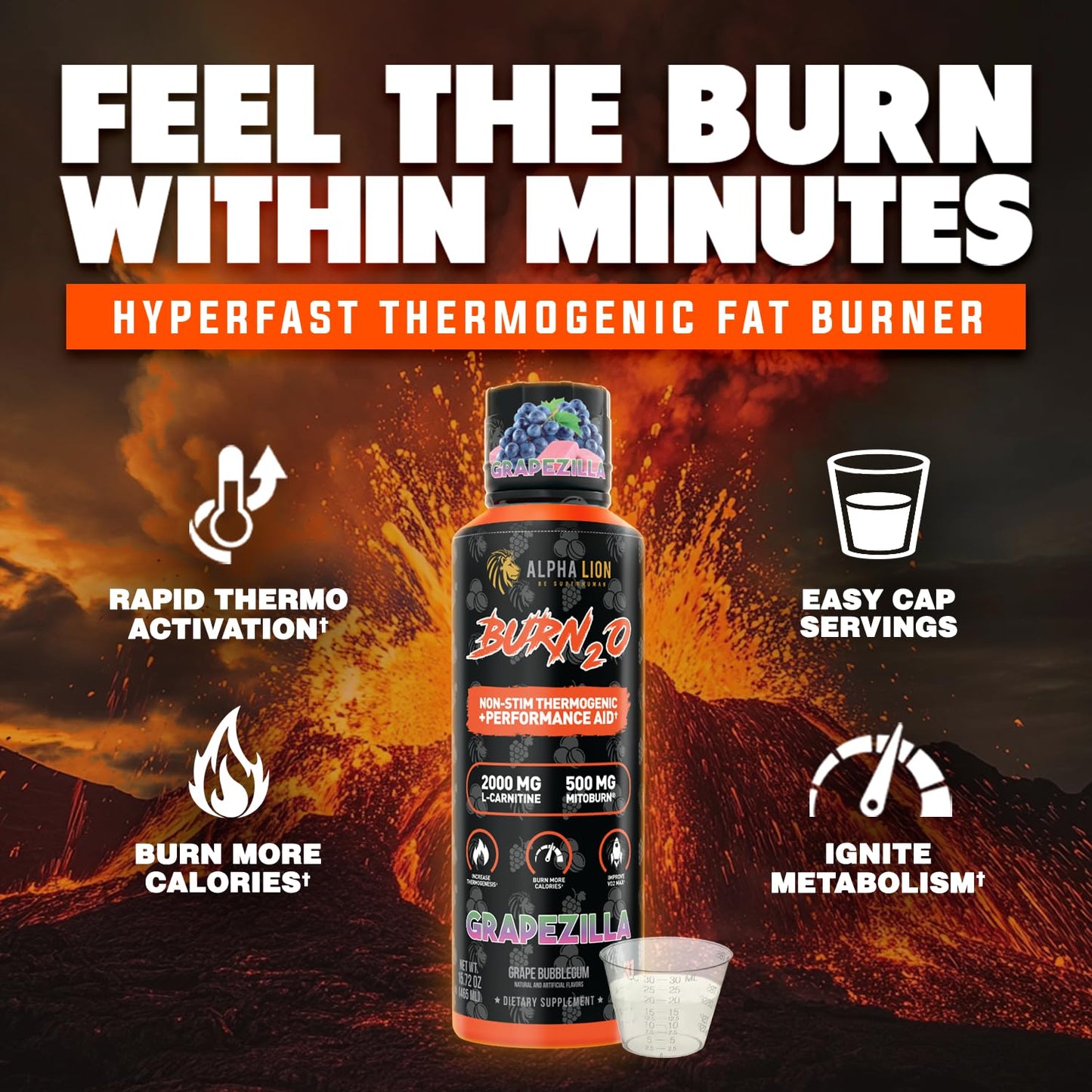 ALPHA LION Burn2O L-Carnitine Liquid 2000mg – Stim Free Super Thermogenic Fat Burner with MitoBurn® & CaloriBurn GP®, Metabolism Booster, Zero Calorie ALPHA LIONUS supplements