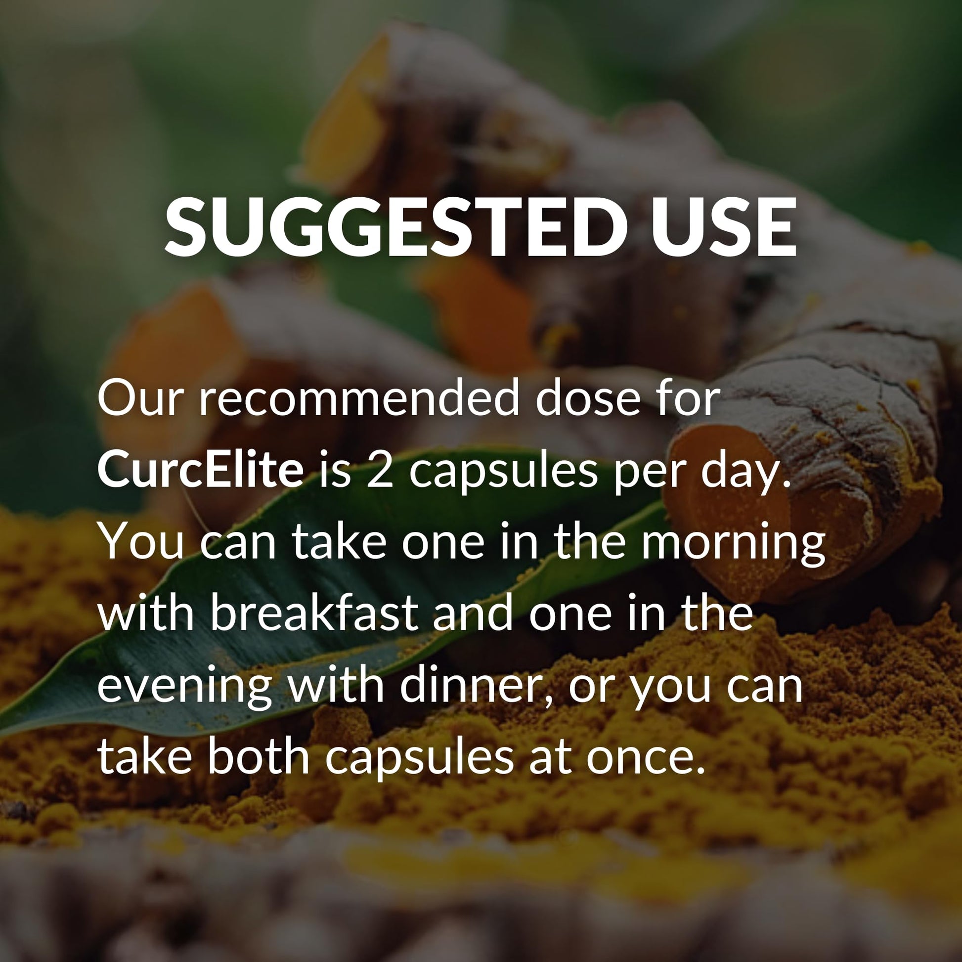 Mara Labs CurcElite Curcumin | Turmeric Extract 95% Curcuminoids | Vegan, No Fillers, and Non-GMO | 60 Vegan Capsules BrocElite Au supplements