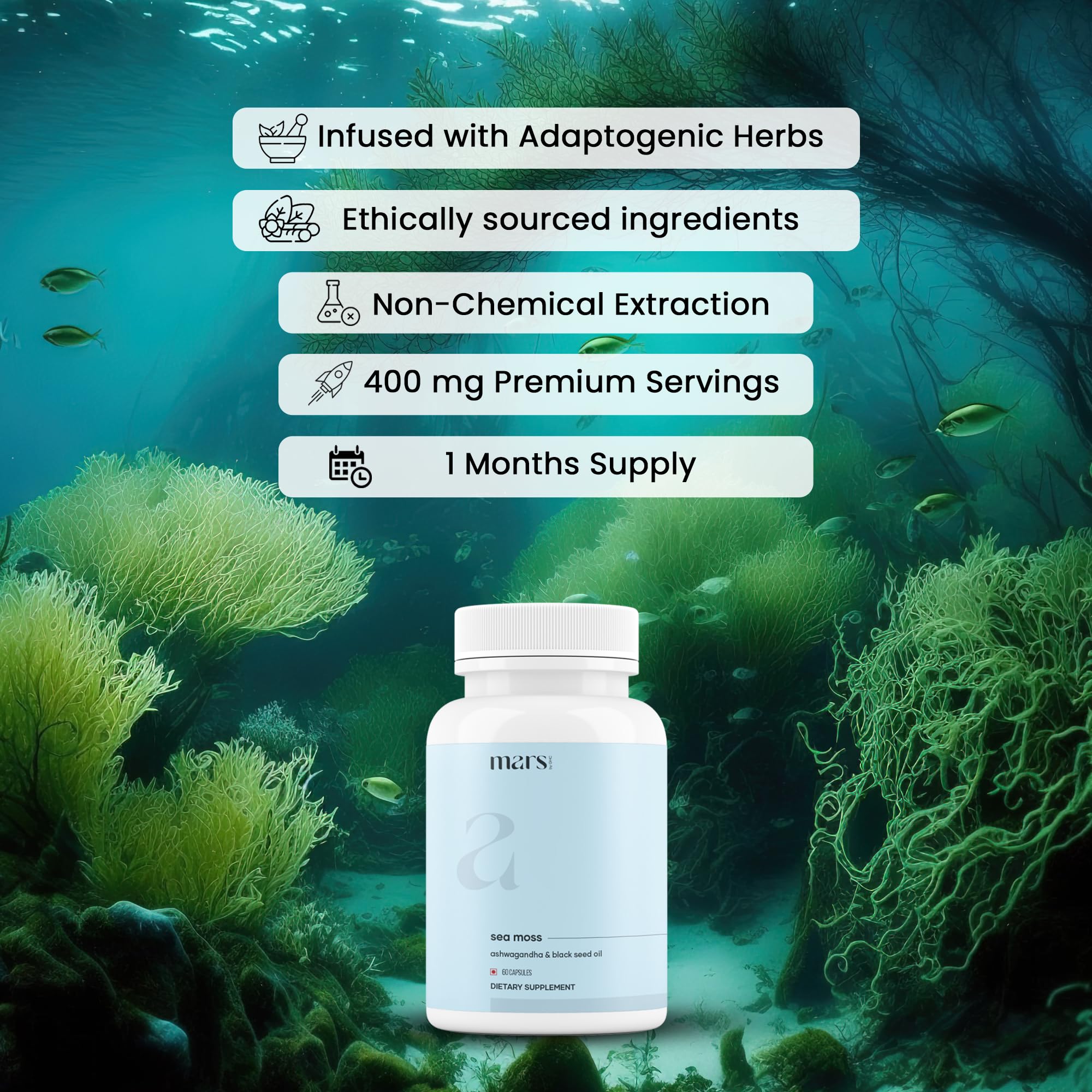 Mars Sea Moss Caps Surge Natural (60N) | Packed with 84 Essential Minerals | Powered with Black Seed Oil, Surgemax & Vitamin D3 | Overall Well-Being - Pack of 3 mars by GHC Au supplements