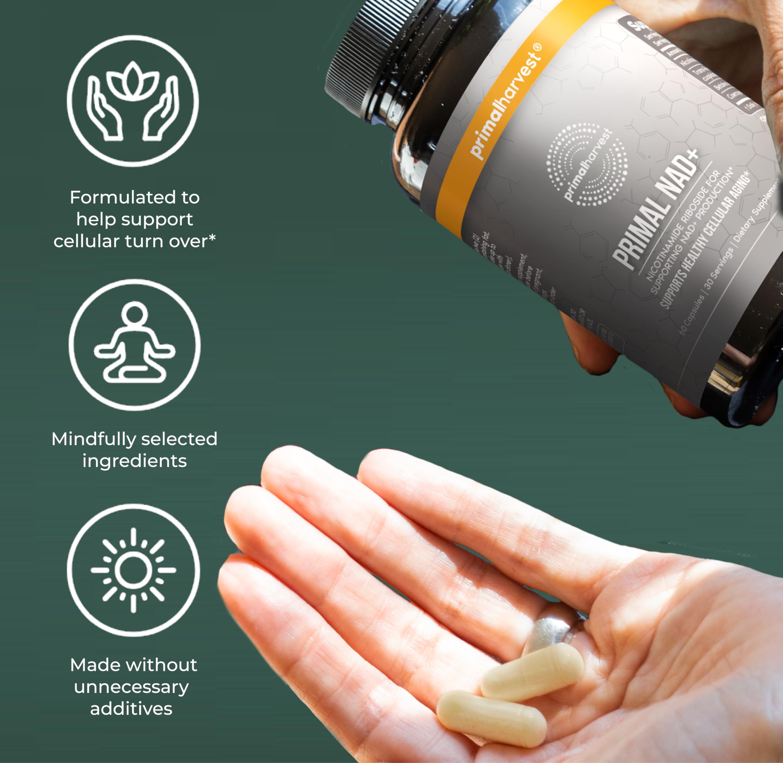 Primal Harvest NAD+ Supplement: Nicotinamide Riboside, Trans-Resveratrol, Betaine, CoQ10, NAD Supplements for Cellular Health, Energy, and Mitochondrial Support (60 Count (1 Pack) Primal Harvest Au supplements
