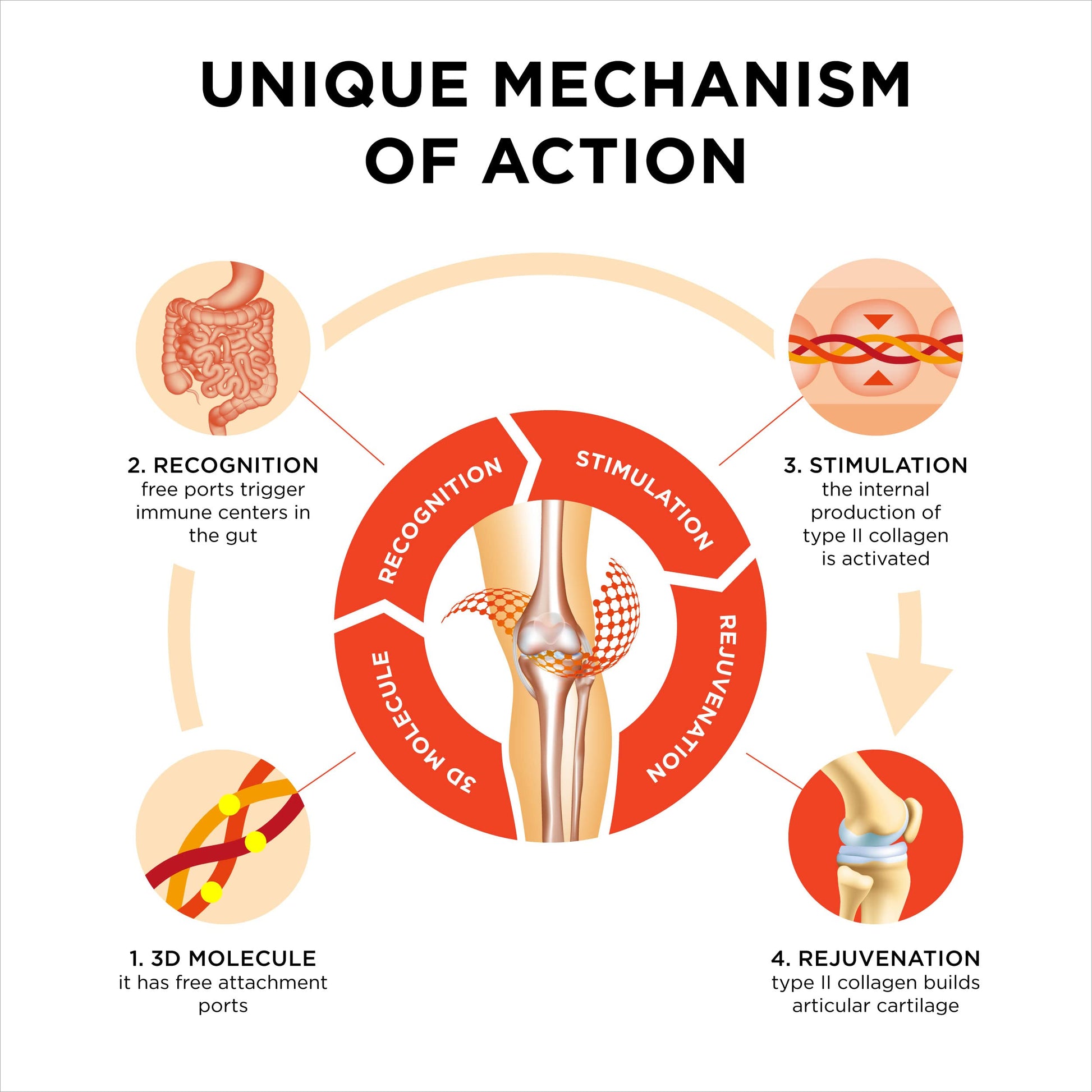 Innovation in The Care of Healthy Joints – Liquid Formula in a Double Capsule. 3D Collagen + Micelle Extract of Turmeric Roots 1 Capsule/Day. Laboratory Tested Collanol Au supplements