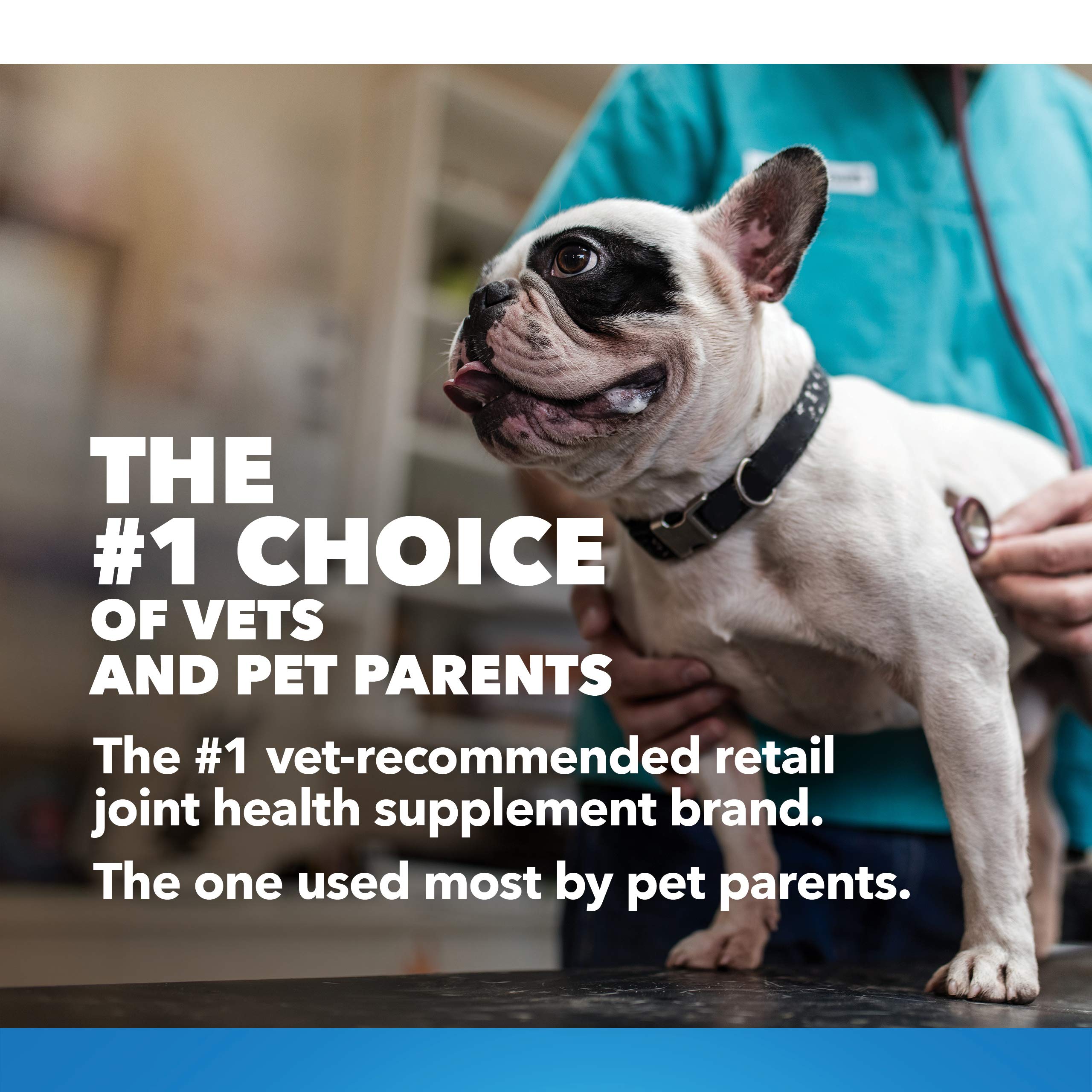 Nutramax Laboratories Cosequin Maximum Strength Joint Health Supplement for Dogs Nutramax Laboratories Au supplements