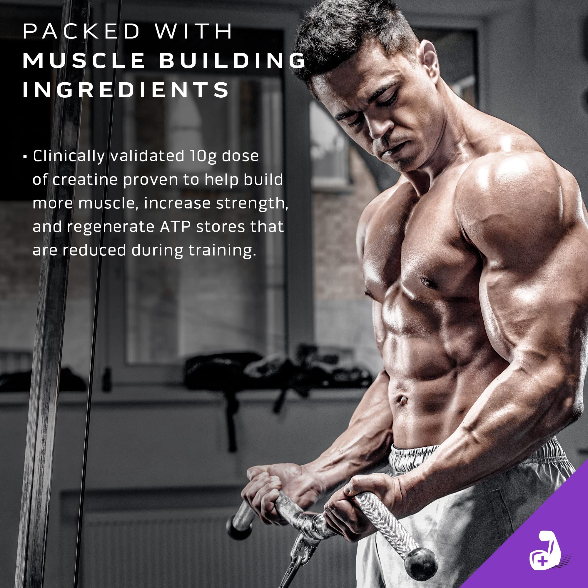Muscletech Mass Gainer Mass-Tech Extreme 2000, Muscle Builder Whey Protein Powder MuscleTech Au supplements
