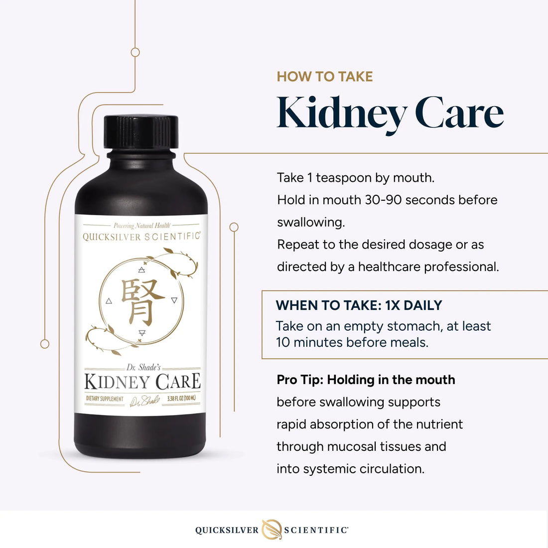 Quicksilver Scientific Kidney Care - Kidney Cleanse & Lymphatic Drainage Supplements - Astragaloside IV Extract, Zhu Ling, Goldenrod, Ferulic Acid, He Shou Wu & Dandelion Leaf (3.38oz / 100ml) Quicksilver Scientific Au supplements