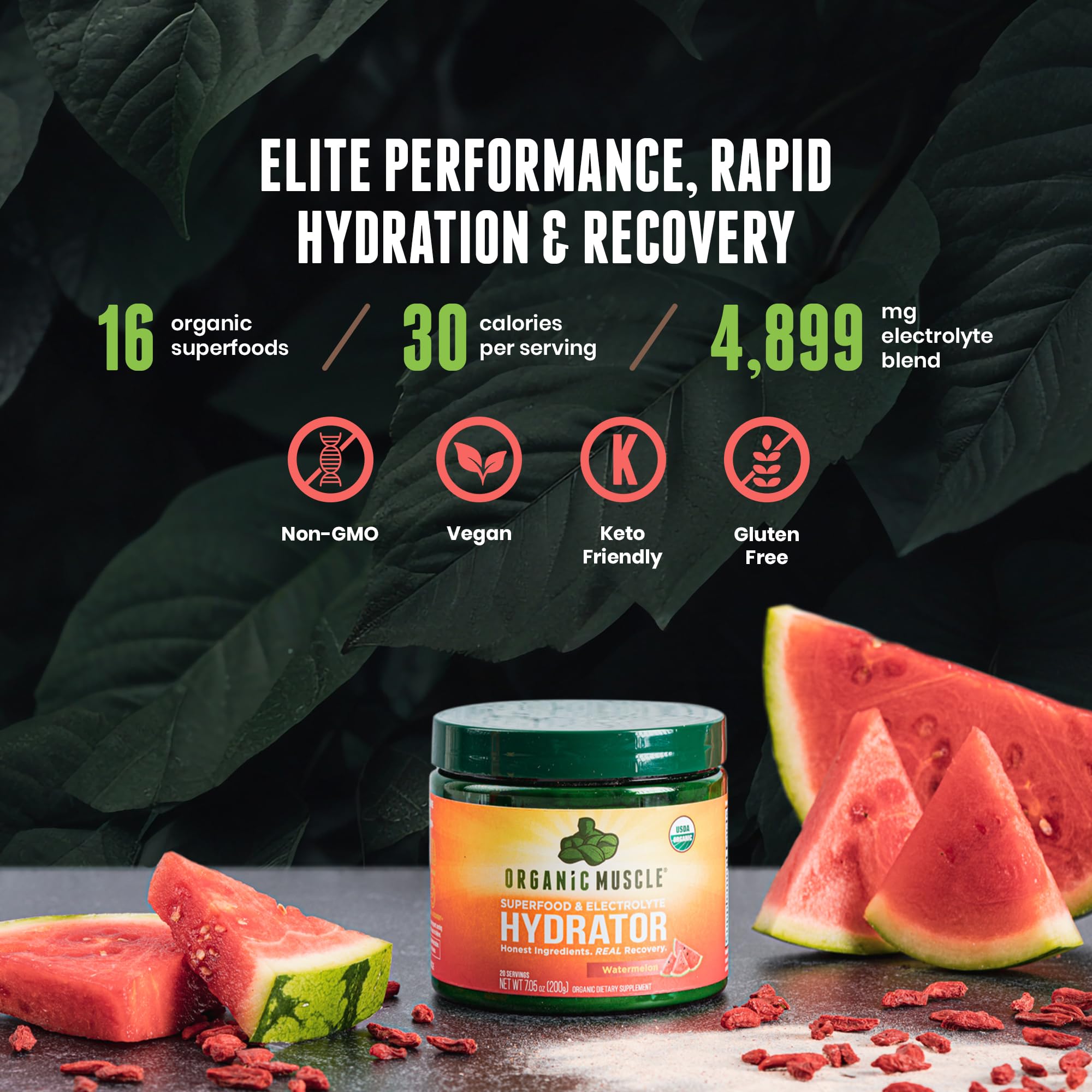 Organic Muscle Hydrator | Natural Electrolyte Powder for Peak Performance & Recovery - Watermelon Flavor, 20 Servings Organic Muscle Au supplements