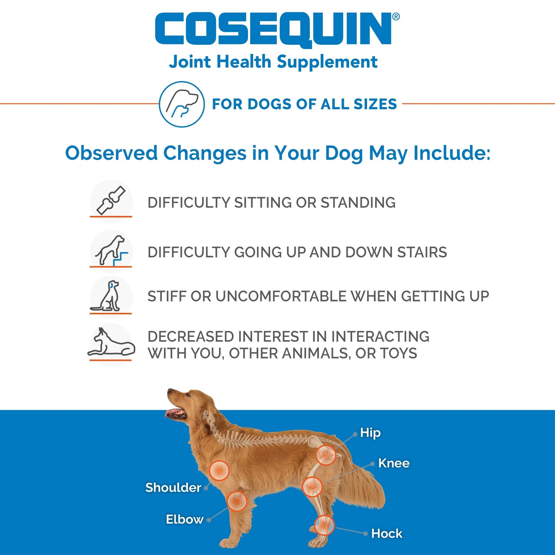 Nutramax Laboratories Cosequin Maximum Strength Joint Health Supplement for Dogs Nutramax Laboratories Au supplements