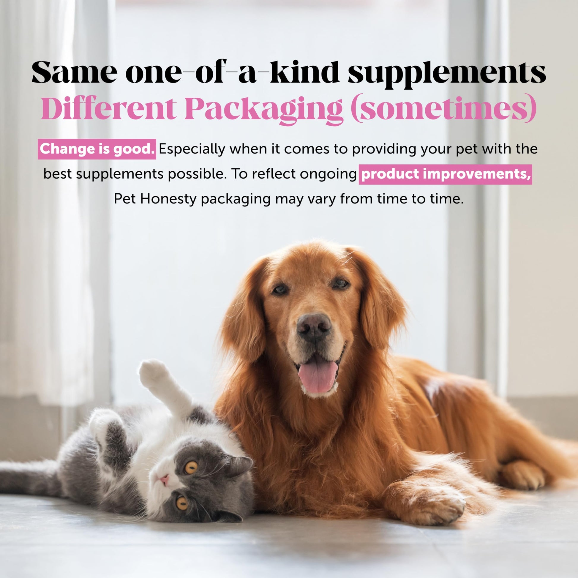 Hemp Hip & Joint Supplement for Dogs - Hemp Oil & Powder - Glucosamine Chondroitin for Dogs, Turmeric, MSM, Green-Lipped Mussel, Supports Mobility, May Reduce Discomfort (Bacon) Pet Honesty Au supplements