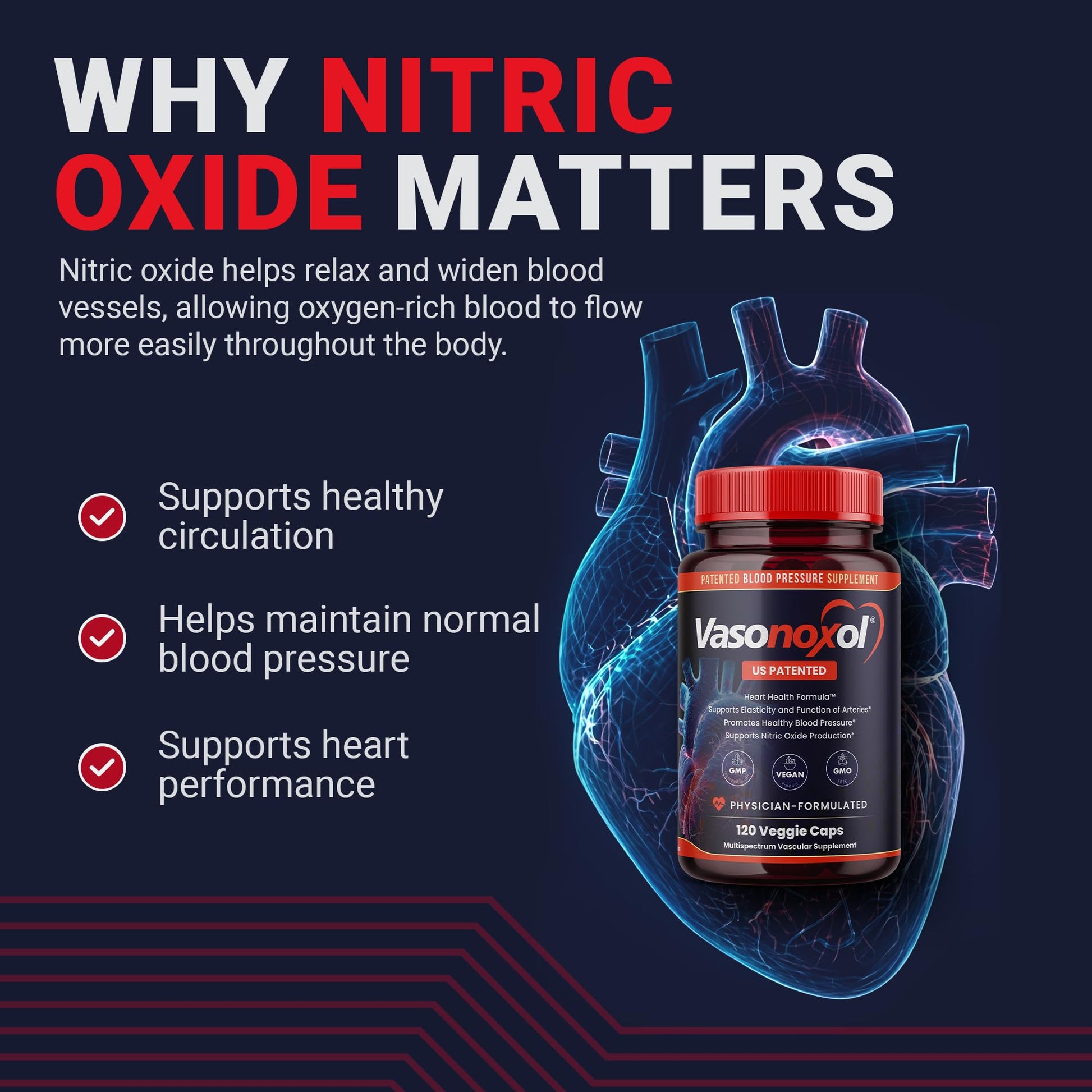 Vasonoxol U.S. Patented Nitric Oxide Supplement for Blood Pressure Support 2880mg - Physician Formulated Vascular Health Formula with L-Arginine & L-Citrulline - Vegan, Non-GMO (120 Capsules) Panoxol Au supplements