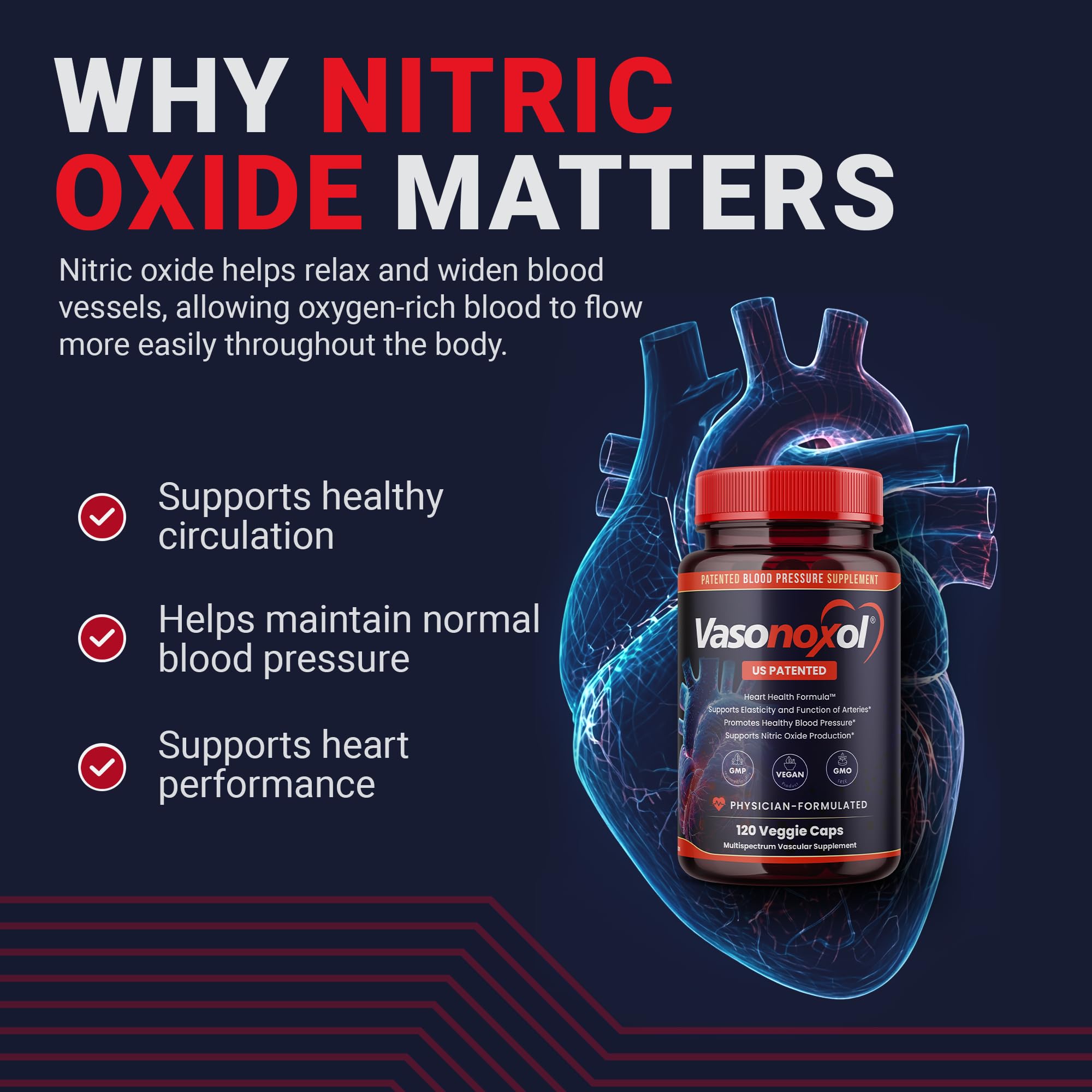 Vasonoxol U.S. Patented Nitric Oxide Supplement for Blood Pressure Support 2880mg - Physician Formulated Vascular Health Formula with L-Arginine & L-Citrulline - Vegan, Non-GMO (120 Capsules) Panoxol Au supplements