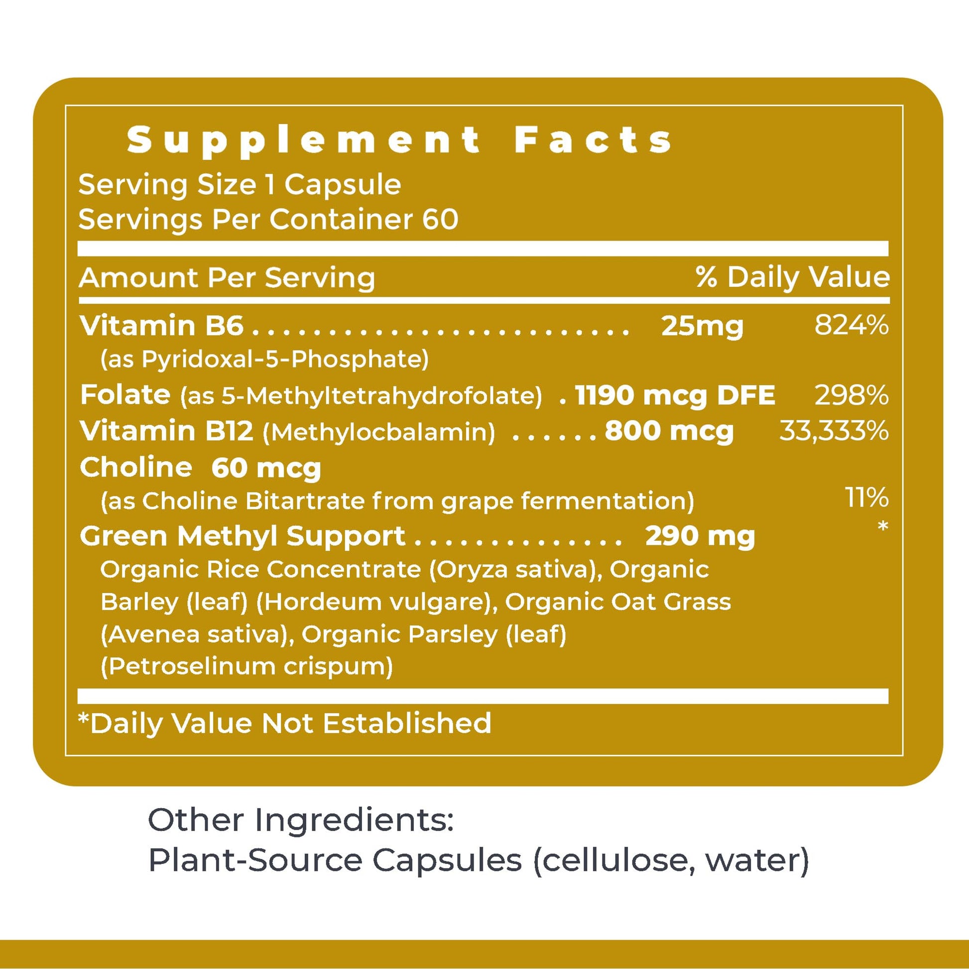 Premier Research Labs Phyto Methylate - B Vitamin Supplement - Supports Methylation, Detox, Brain & Heart Health - 5-MTHF & P5P - 60 Plant-Source Capsules Premier Research Labs Au supplements