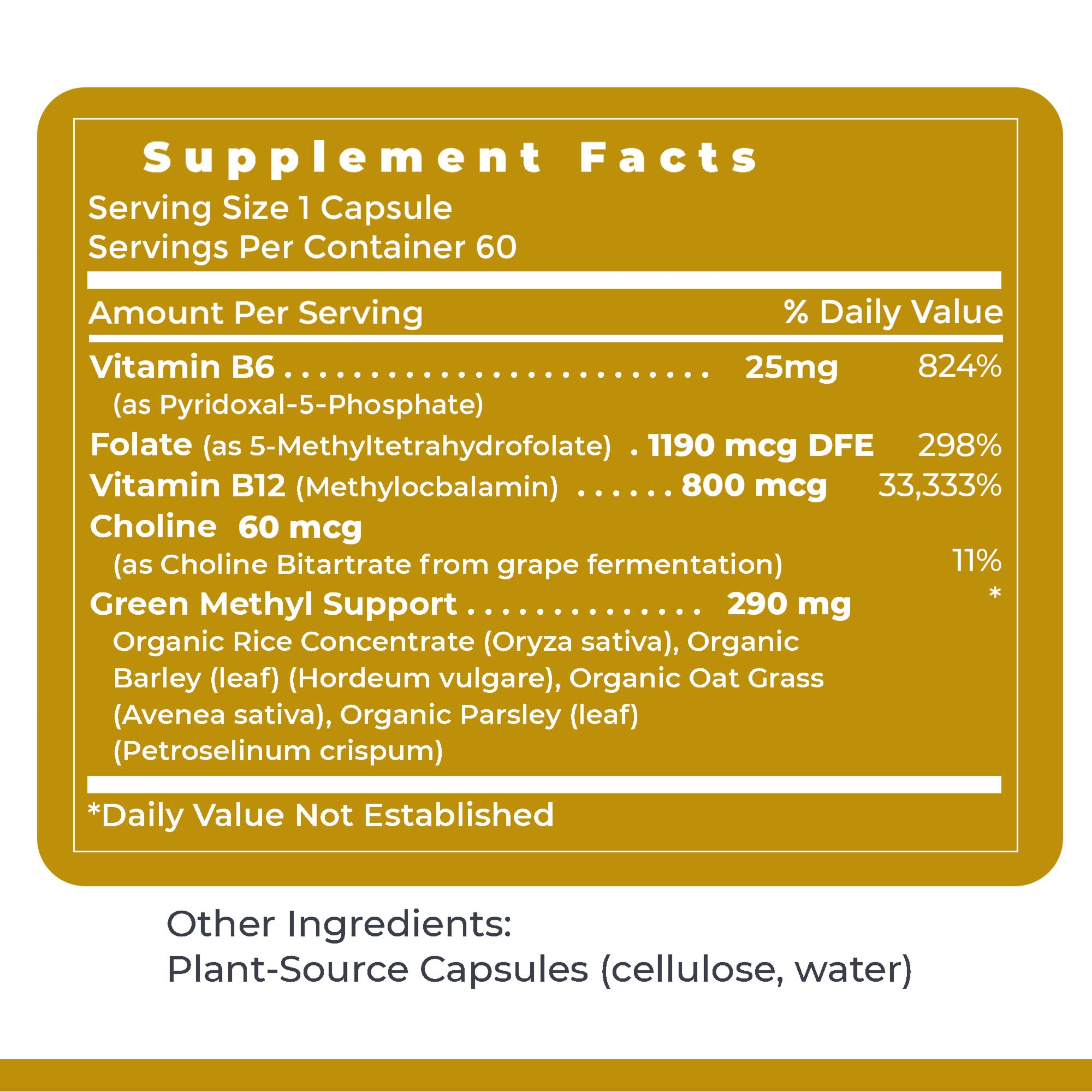 Premier Research Labs Phyto Methylate - B Vitamin Supplement - Supports Methylation, Detox, Brain & Heart Health - 5-MTHF & P5P - 60 Plant-Source Capsules Premier Research Labs Au supplements