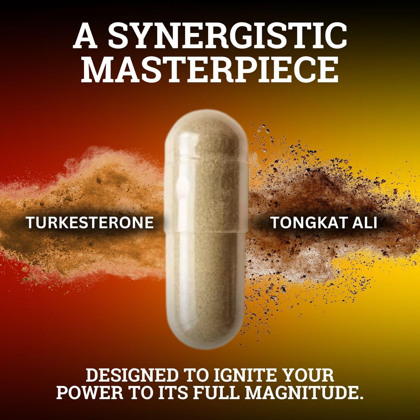 Black Forest Turkesterone Tongkat Ali Supplement 1000mg per Serving (Max Purity 95%) Turkesterone Supplement for Men (Tongkat Ali for Men Longjack 200:1) Similar to Tongkat Ali Fadogia Agrestis Black ForestAu supplements
