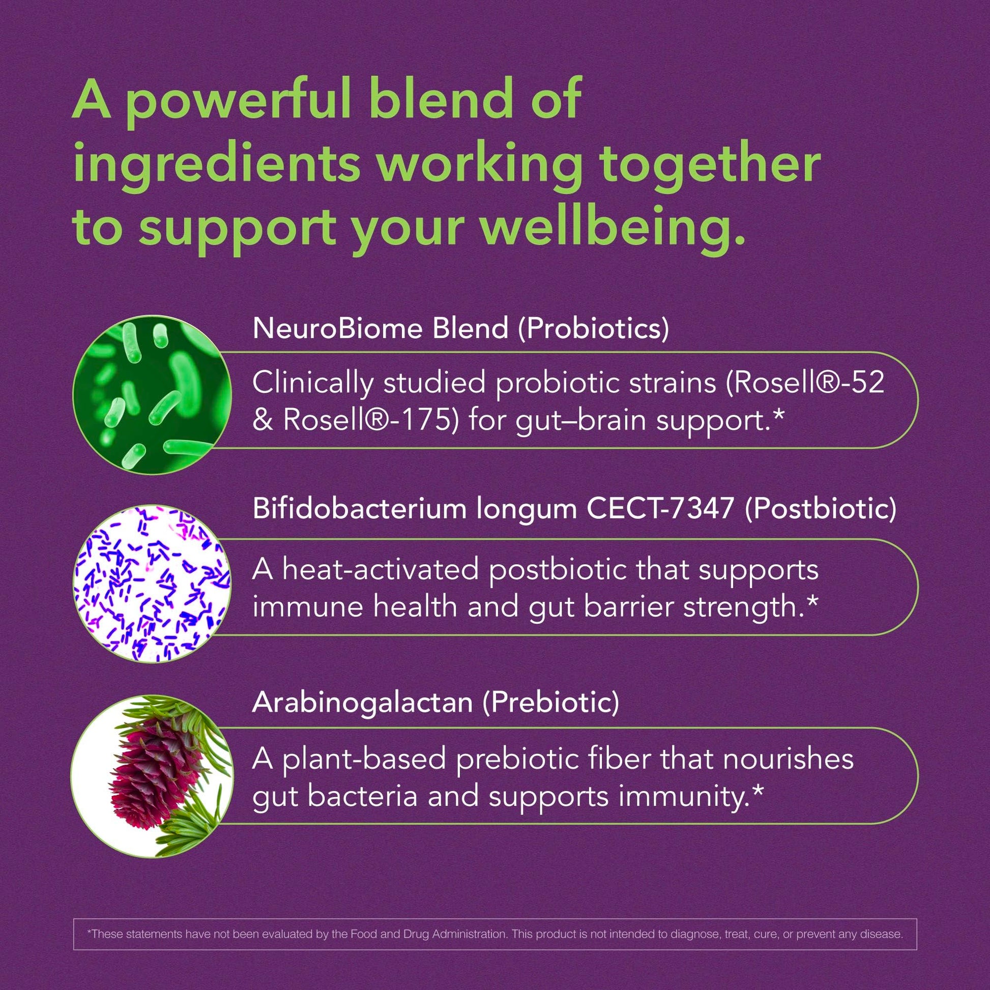BIOLIGENT Tribiotic+ Prebiotic, Probiotic and Postbiotic Supplement for Women & Men, Gut Health, Immune Support, Bloating Relief, Daily Microbiome and Digestive Support, 30 Capsules, 30 Day Supply BIOLIGENT Au supplements