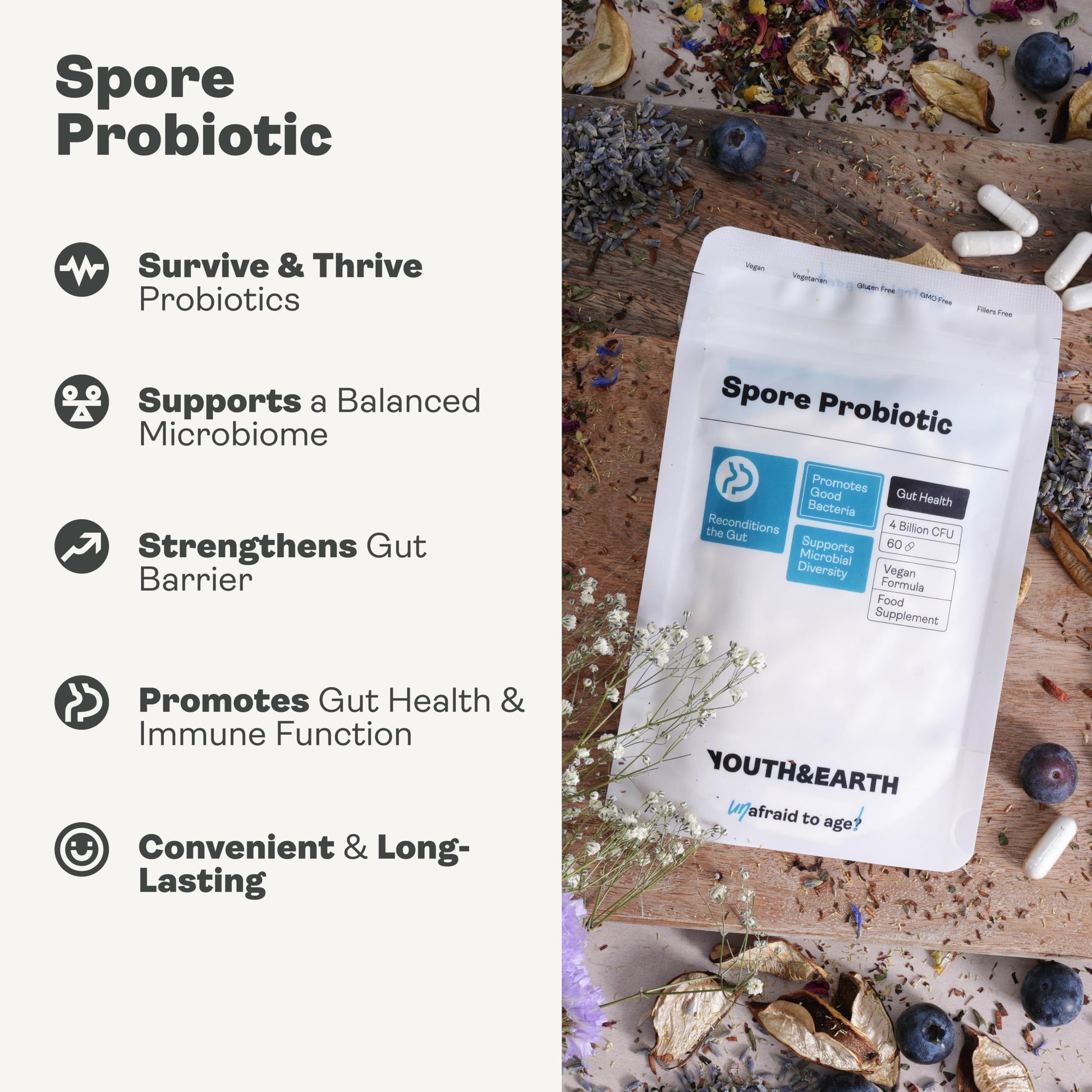 Youth & Earth Spore Probiotics 4 Billion CFU Count - Probiotics for Gut Health & Immune Support | Gut Health Supplements for Digestive Health | 60 Capsules Youth & Earth Au supplements