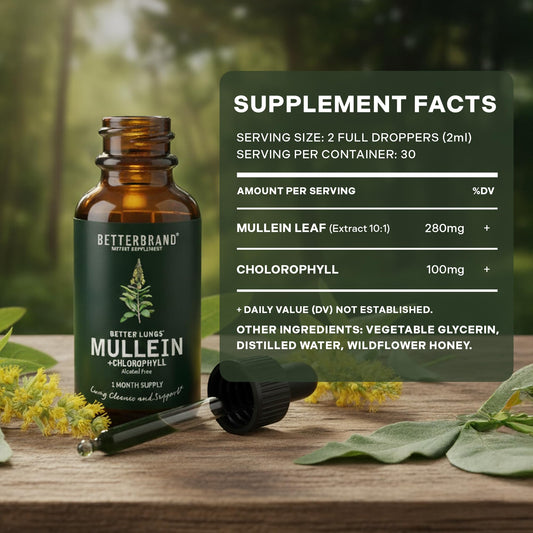 Betterbrand Mullein Drops for Lung Detox - Mullein Leaf Tincture with Chlorophyll - Helps Support Respiratory Health BetterbrandUS supplements