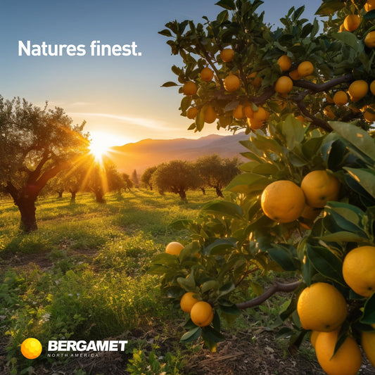 BergaMet Citrus Bergamot Supplement, 170:1 Extract, 1200mg per Serving, 80% Polyphenols, Italian Citrus Bergamot Supplement, BergaMetUS supplements