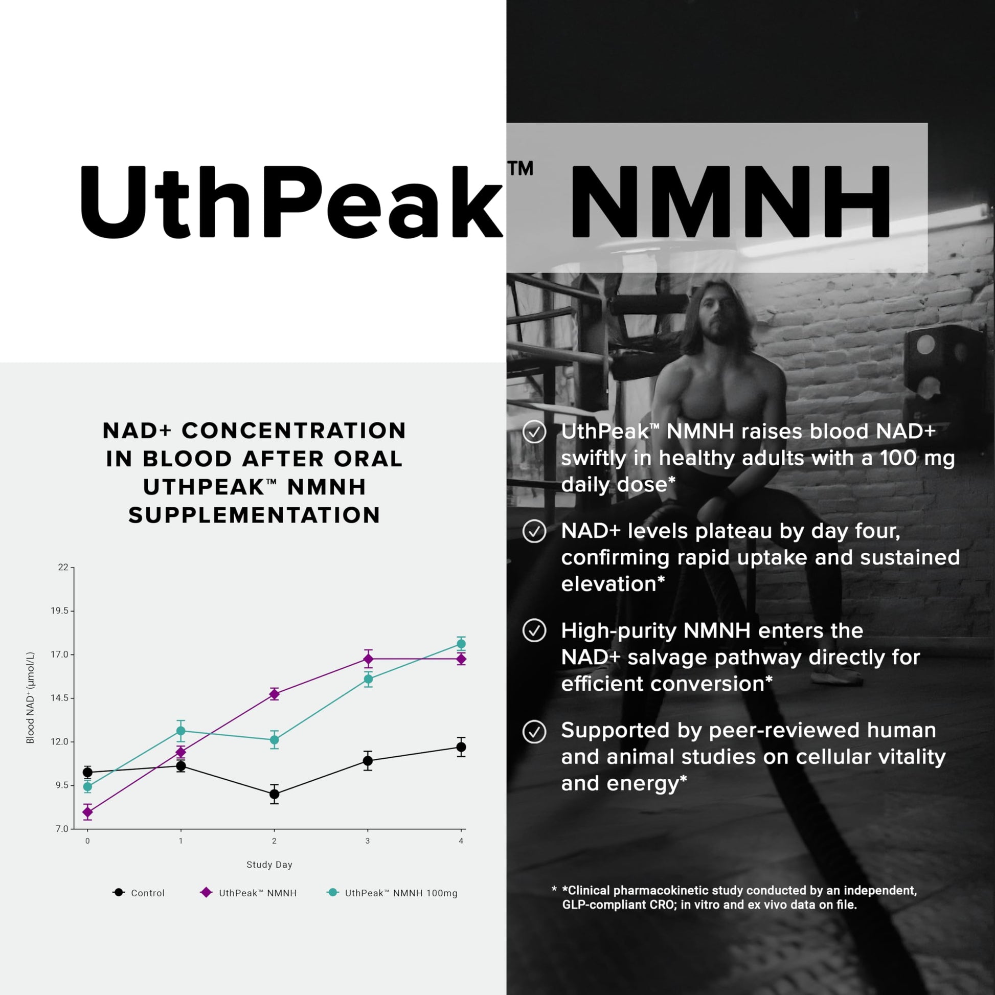 Toniiq NMNH Supplement – Ultra High Potency 1,000mg Complex with Clinically Studied Uthpeak™ NMNH, Resveratrol, Quercetin & TMG – Highly Purified – Third-Party Lab Tested – 60 Capsules Toniiq Au supplements