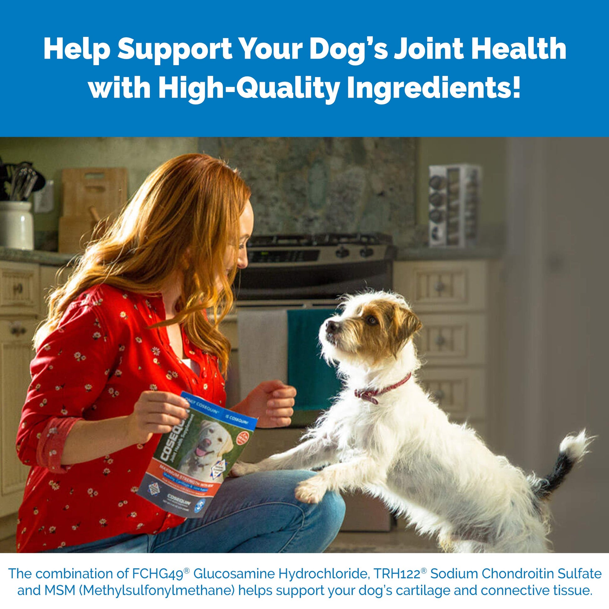 Nutramax Laboratories Cosequin Maximum Strength Joint Health Supplement for Dogs Nutramax Laboratories Au supplements