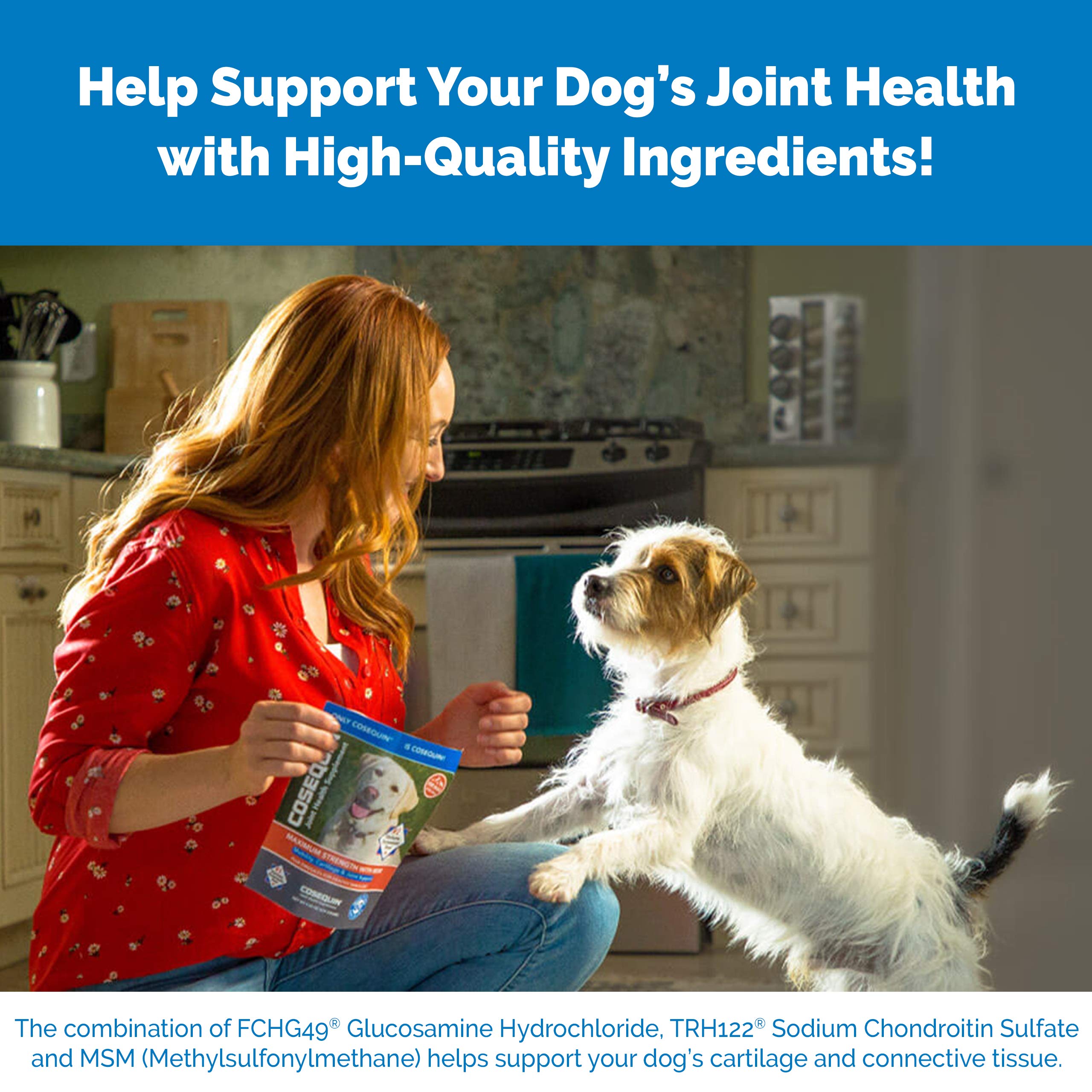 Nutramax Laboratories Cosequin Maximum Strength Joint Health Supplement for Dogs Nutramax Laboratories Au supplements