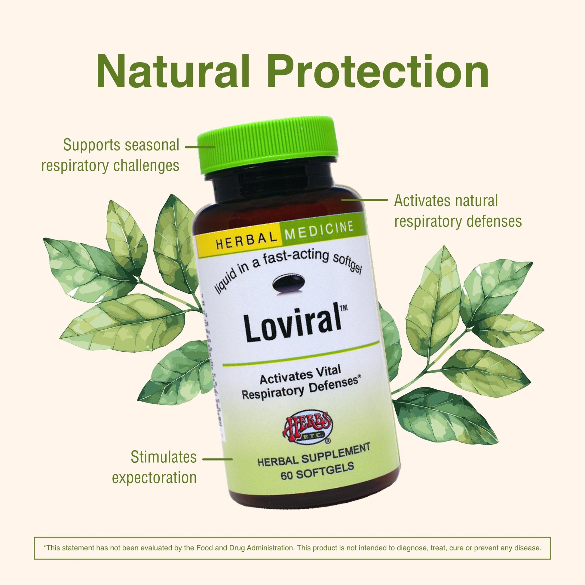 Herbs Etc. Loviral - Lung Health Supplement for Respiratory Defense & Support - Herbal Supplement with Lomatium, Pelargonium & OSHA - Gluten-Free - 60 Softgels (60 Servings) Herbs Etc. Au supplements