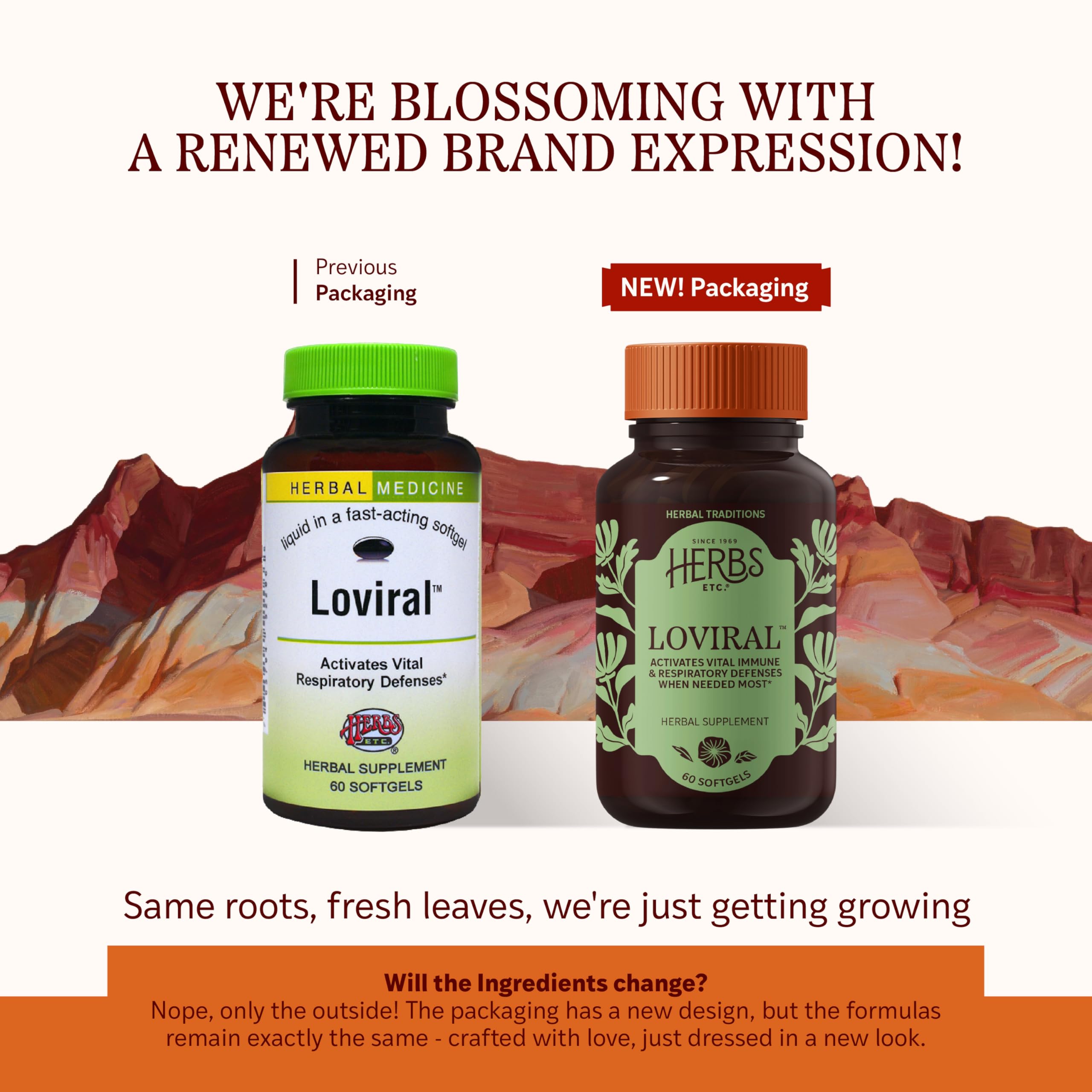 Herbs Etc. Loviral - Lung Health Supplement for Respiratory Defense & Support - Herbal Supplement with Lomatium, Pelargonium & OSHA - Gluten-Free - 60 Softgels (60 Servings) Herbs Etc. Au supplements