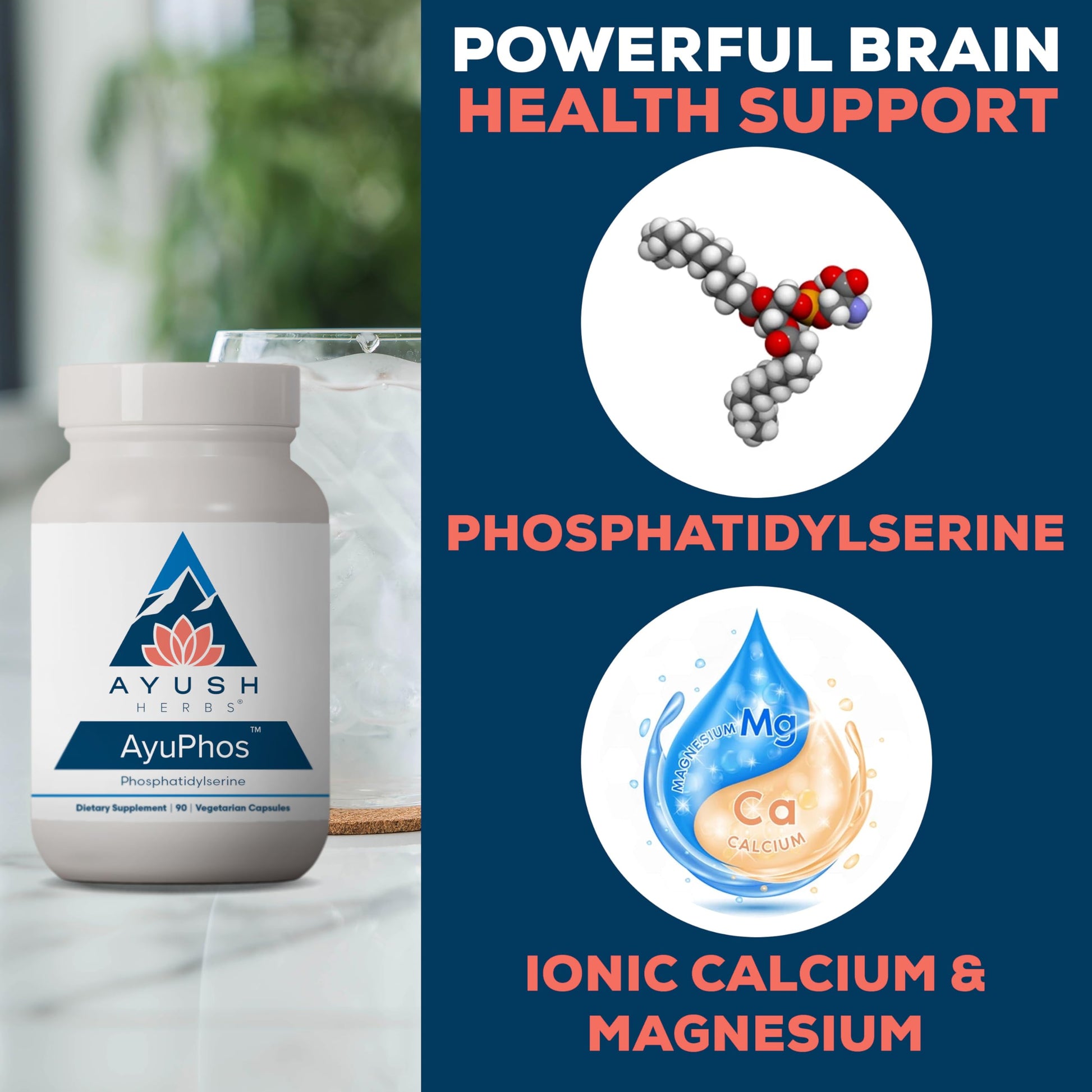 Ayush Herbs AyuPhos - Phosphatidylserine Supplement for Men & Women, Soy-Free Phosphatidyl Serine, Brain, Memory, & Cognitive Support for Adults, 200mg Per Pill - 45 Servings Ayush Herbs Au supplements
